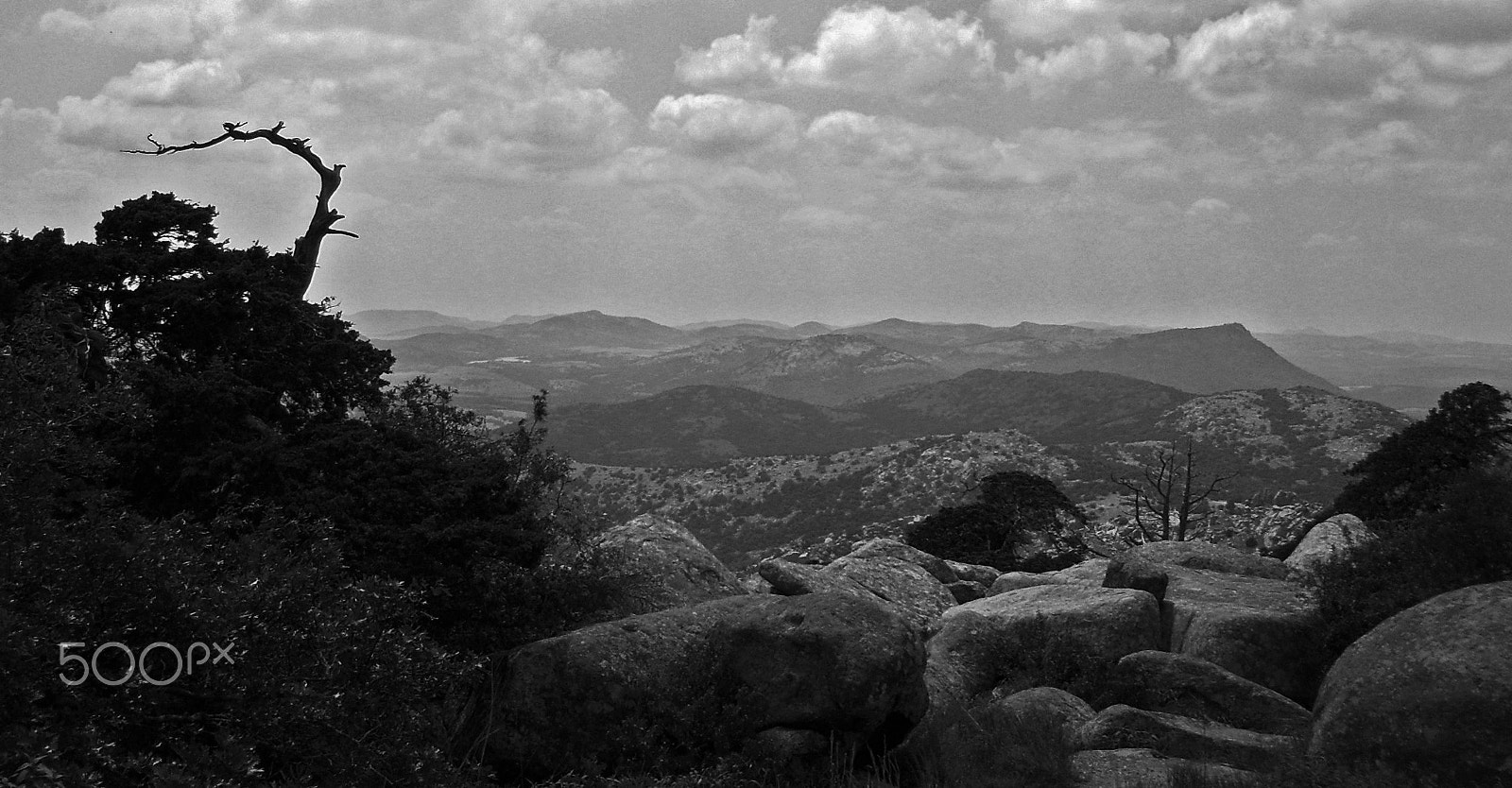 Kodak EASYSHARE C533 ZOOM DIGITAL CAMERA sample photo. Blackwhitewchtmt photography