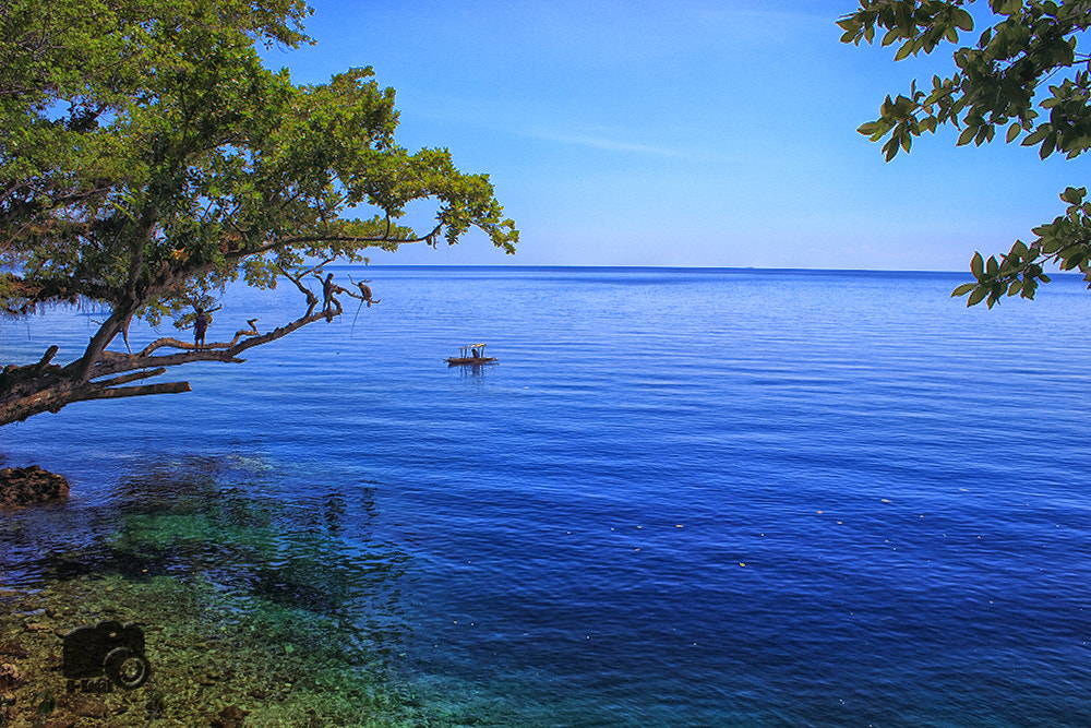 Canon EOS 100D (EOS Rebel SL1 / EOS Kiss X7) sample photo. Indonesia in sulawesi tengah photography