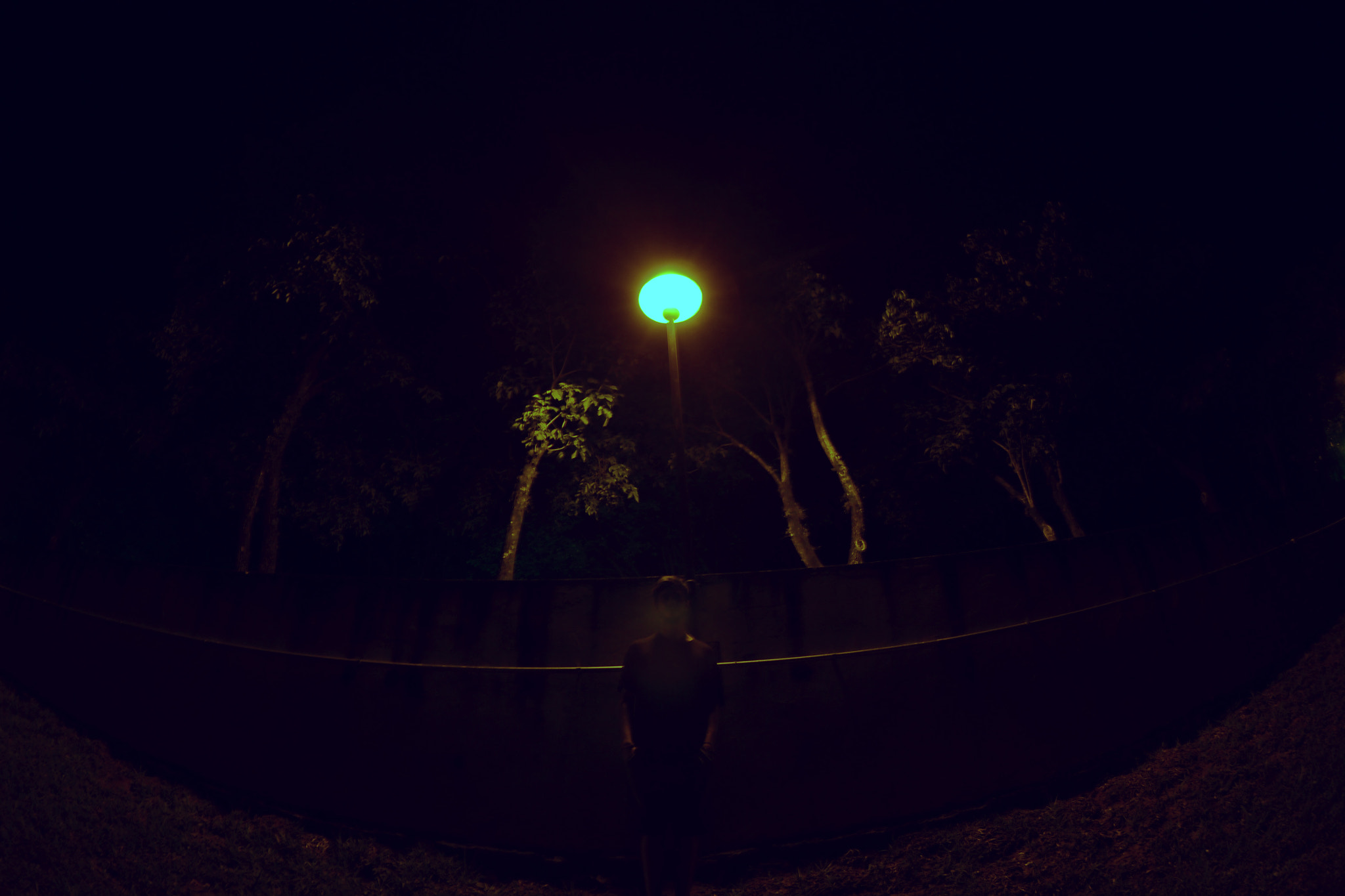 Nikon AF DX Fisheye-Nikkor 10.5mm F2.8G ED sample photo. Abilify & invega nº 1 photography
