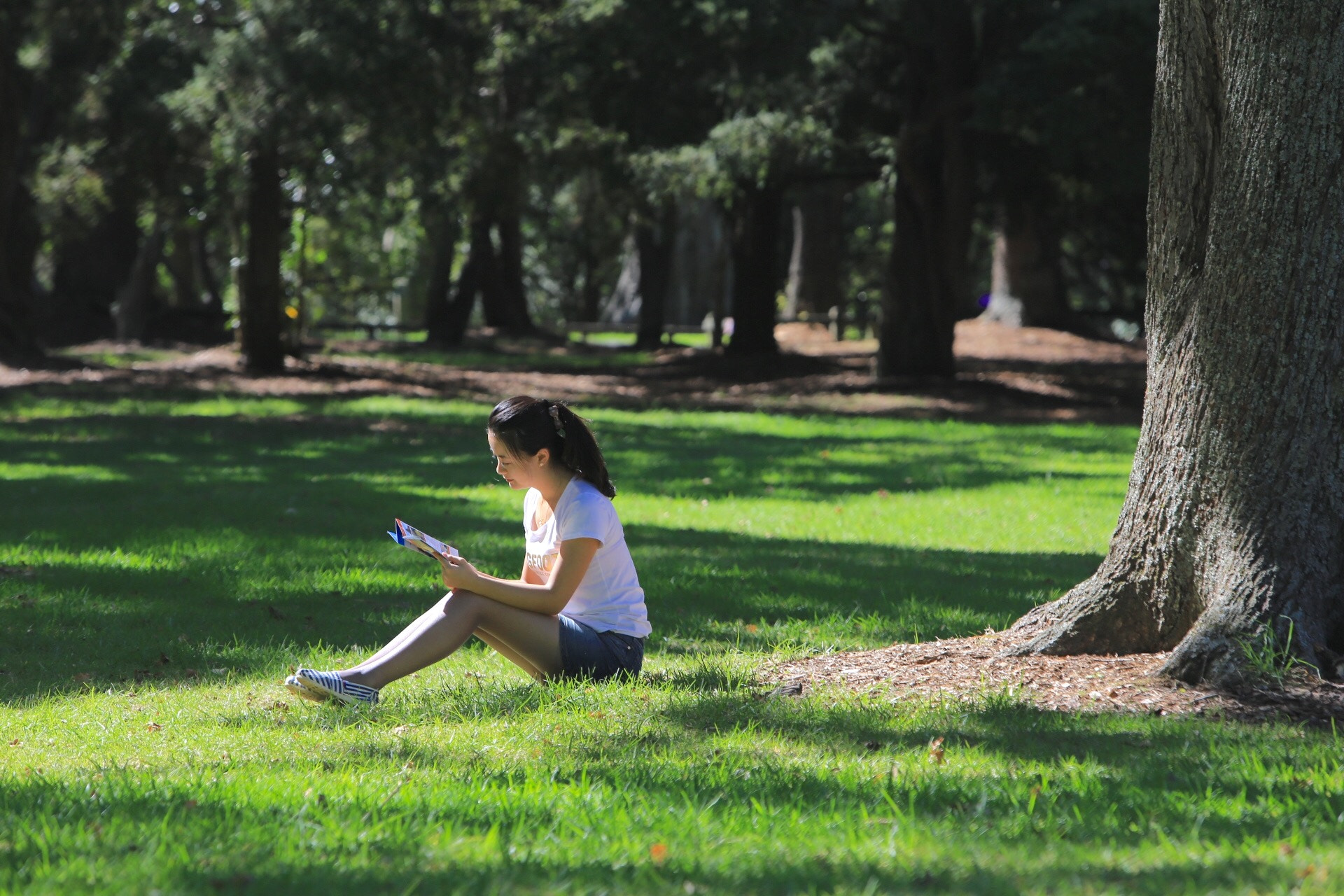 Canon EF 70-200mm F2.8L IS USM sample photo. Reading girl under forest sunlight photography