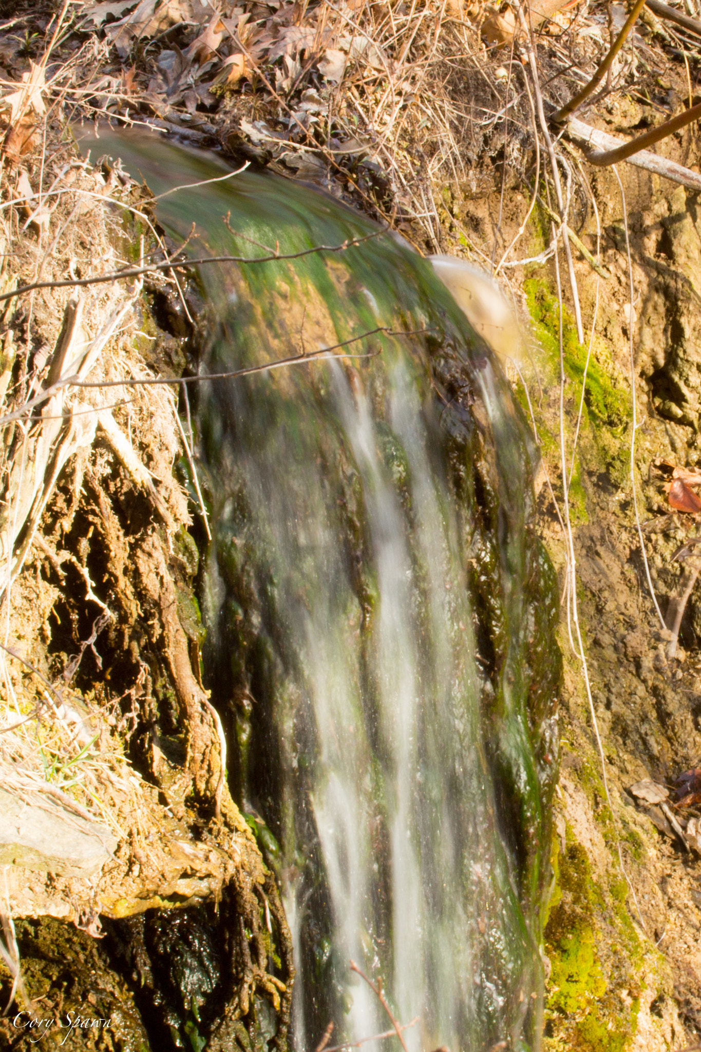 Canon EF 100-400mm F4.5-5.6L IS USM sample photo. Shadow falls photography