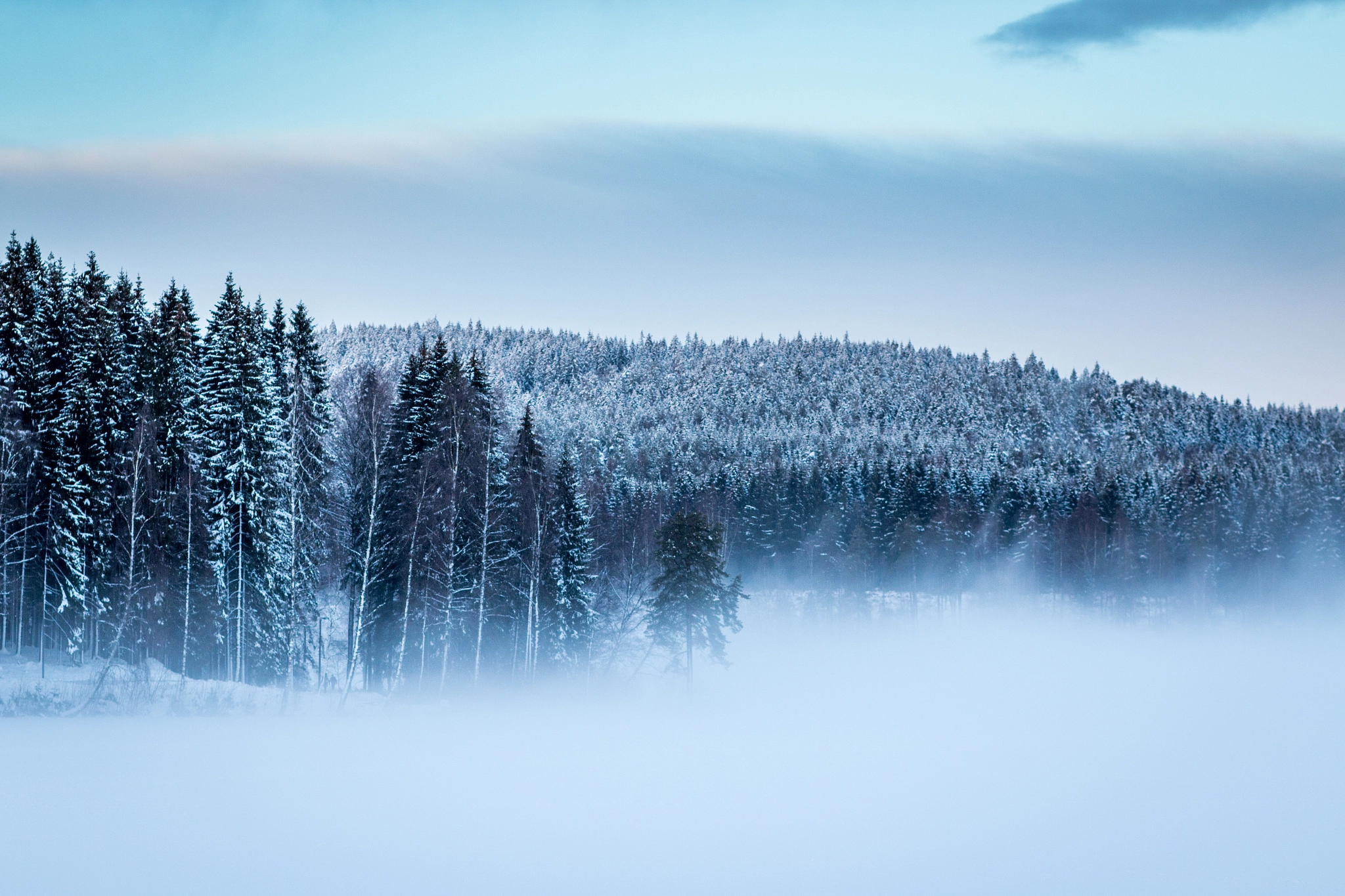 Canon EOS 70D + Canon EF 100mm F2.0 USM sample photo. Dawn fog photography