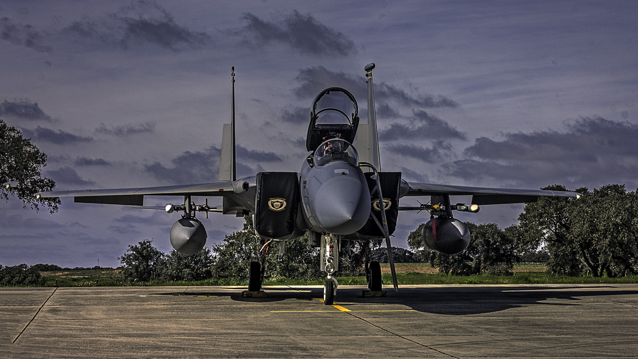 Sony Alpha DSLR-A390 + Sigma 30mm F1.4 EX DC HSM sample photo. Mcdonnell douglas f-15c eagle photography