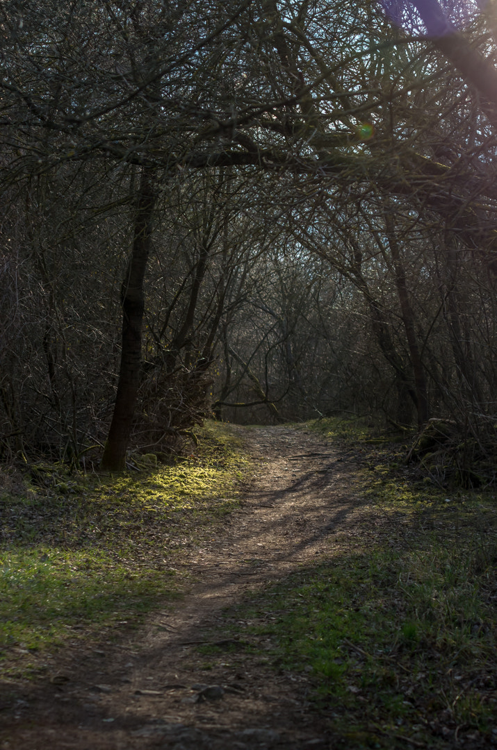 Pentax K-5 II sample photo