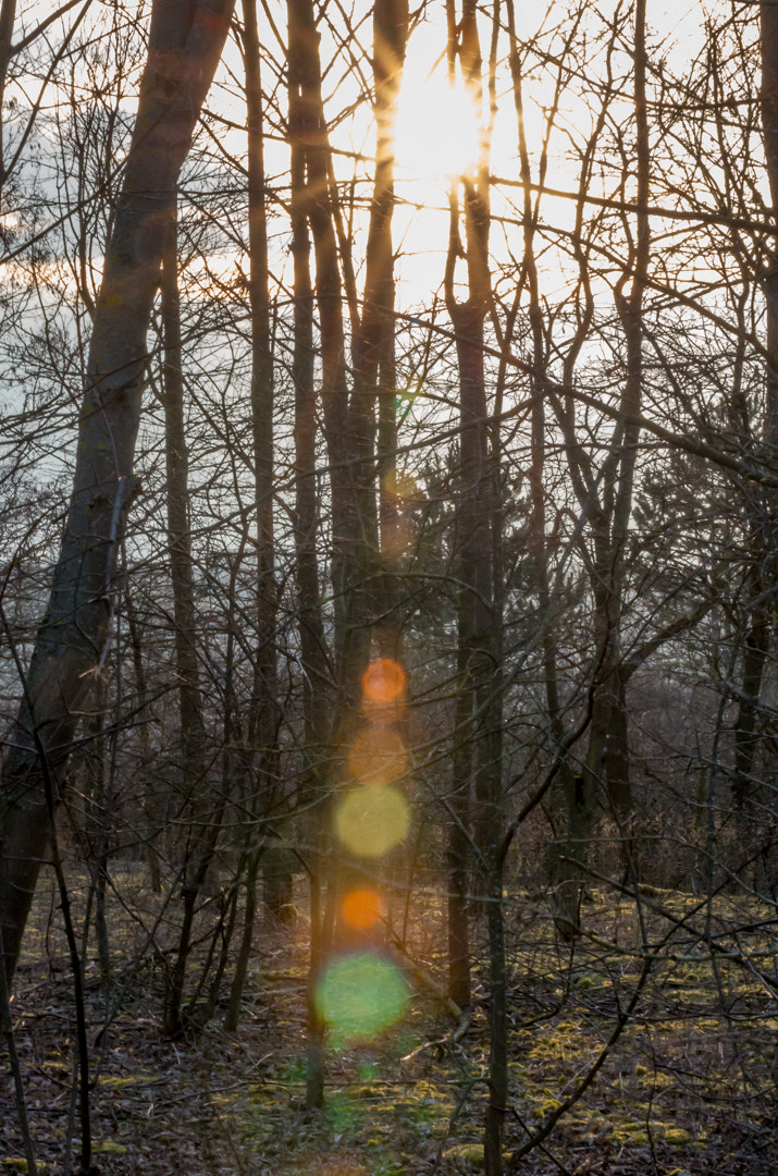 Pentax K-5 II sample photo