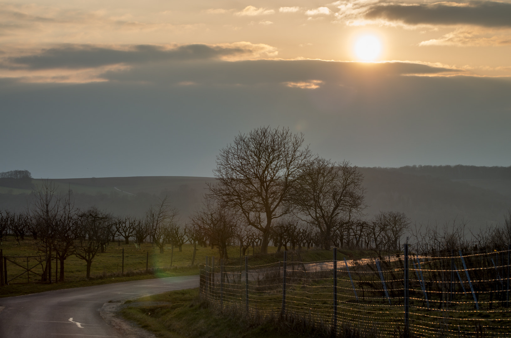 Pentax K-5 II sample photo