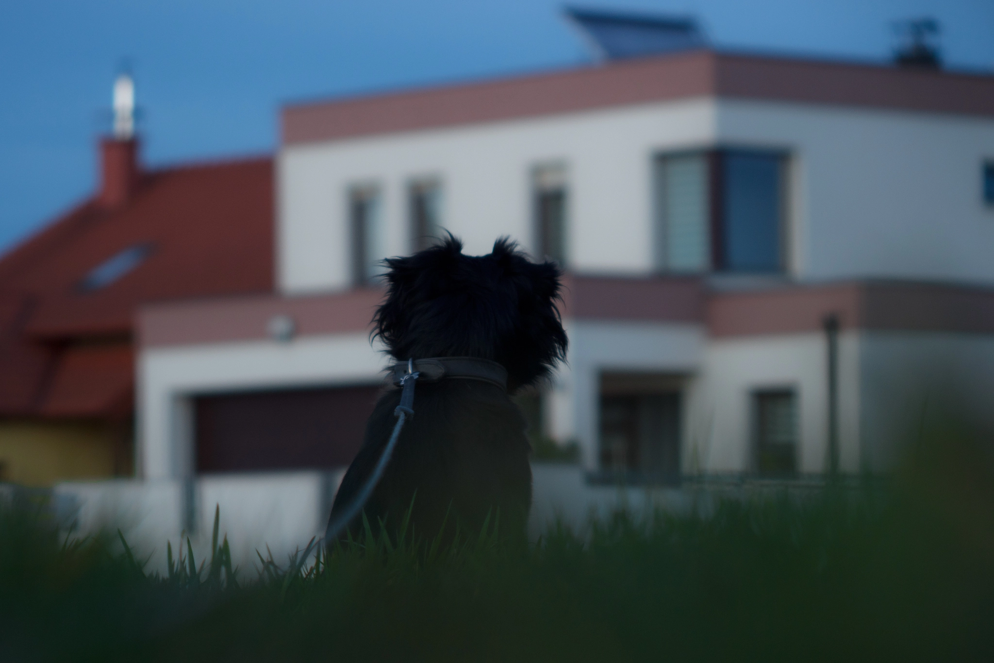 Canon EF 55-200mm F4.5-5.6 II USM sample photo. One day... photography