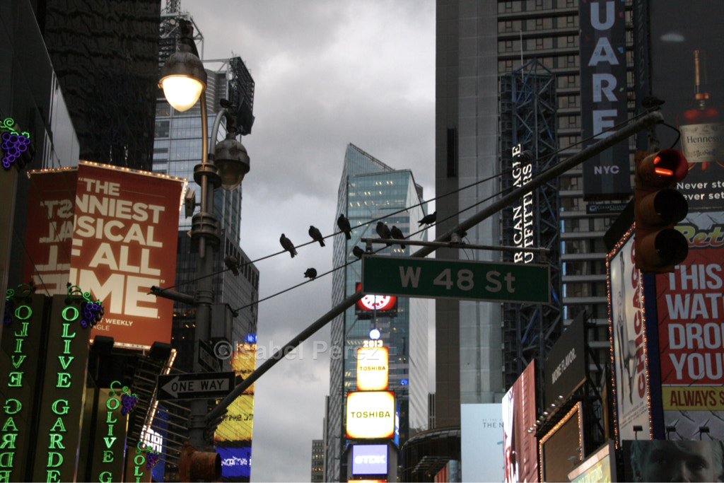 Canon EOS 400D (EOS Digital Rebel XTi / EOS Kiss Digital X) sample photo. Time square photography