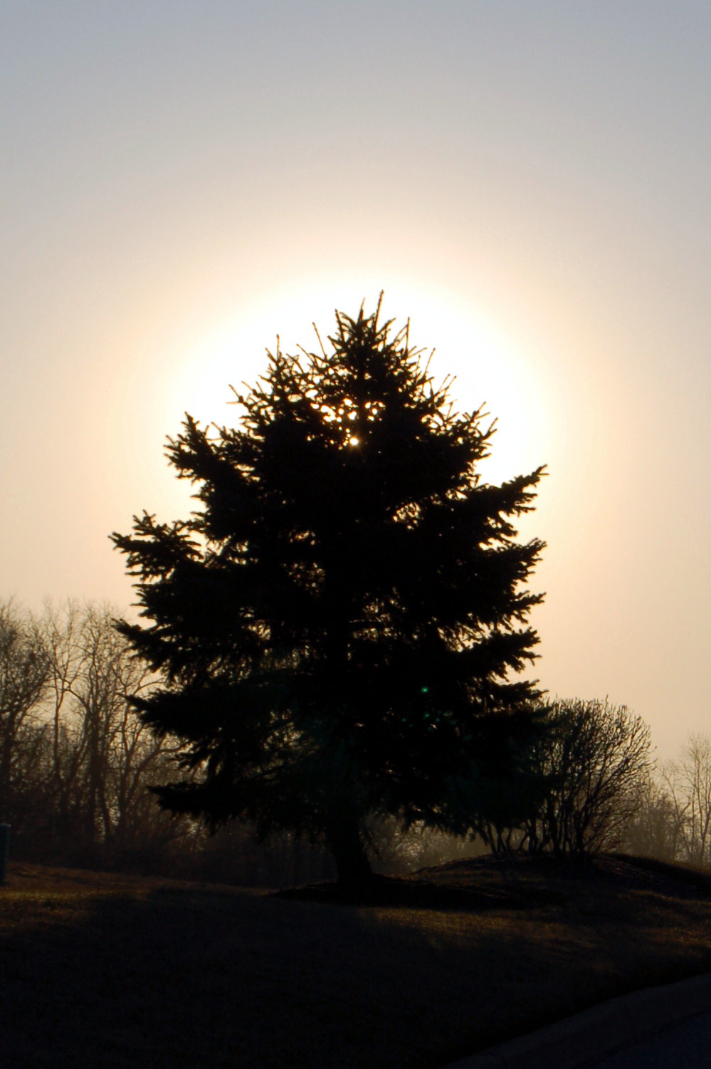 Nikon D50 sample photo. Edited photography