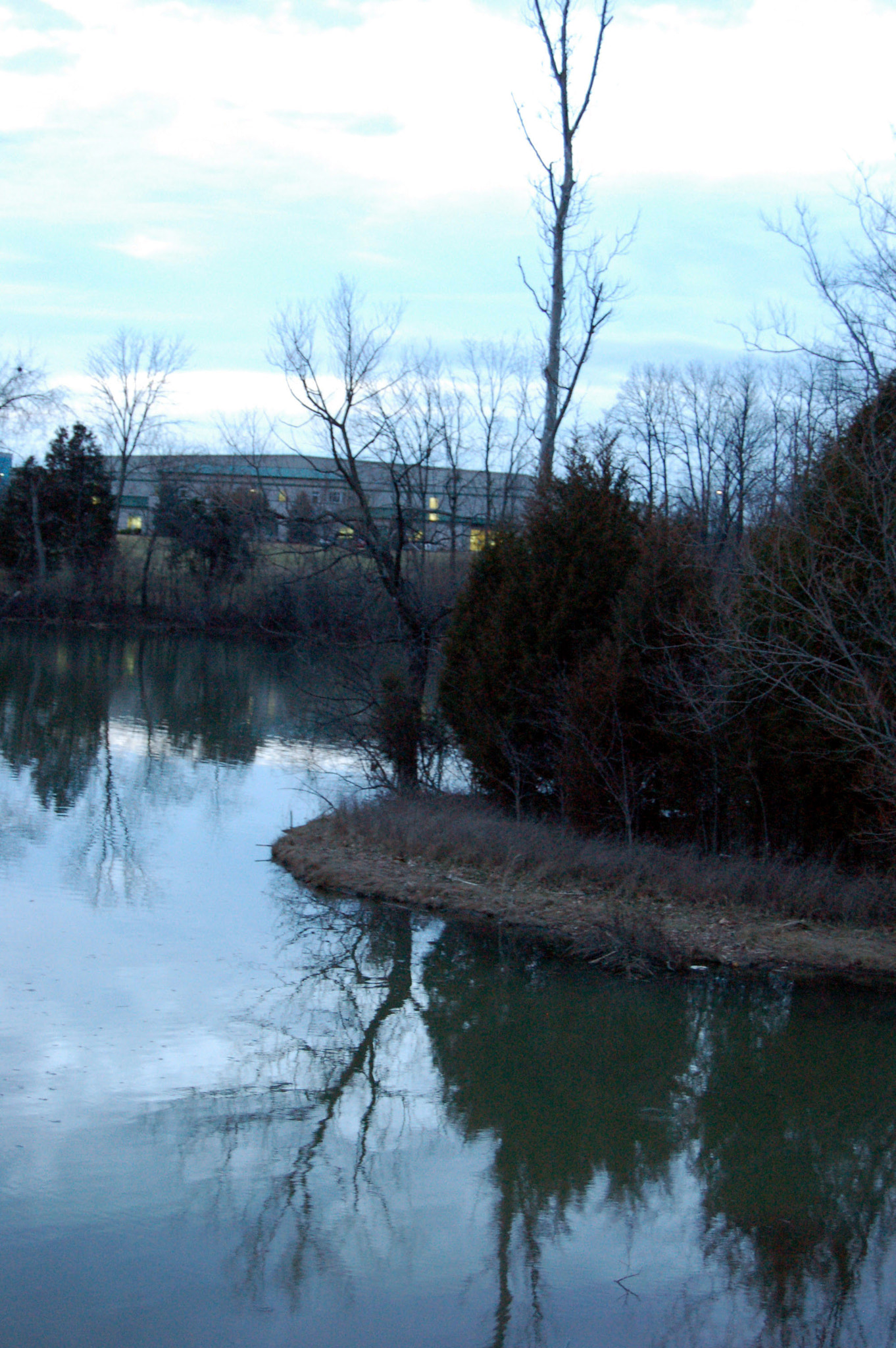 Nikon D50 sample photo. Edited photography