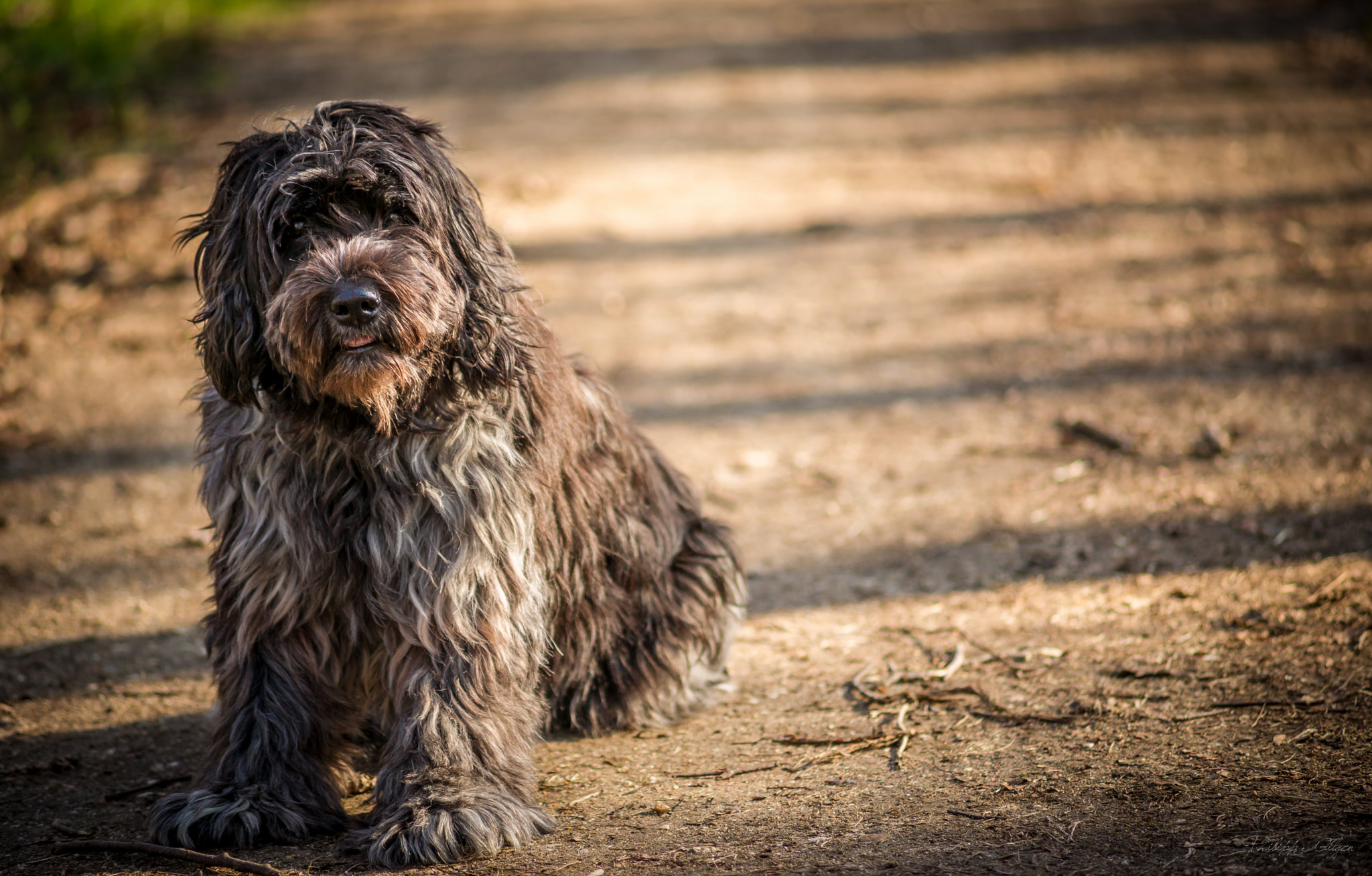 Sony Alpha DSLR-A850 + Minolta AF 70-210mm F4 Macro sample photo. Say cheese! photography