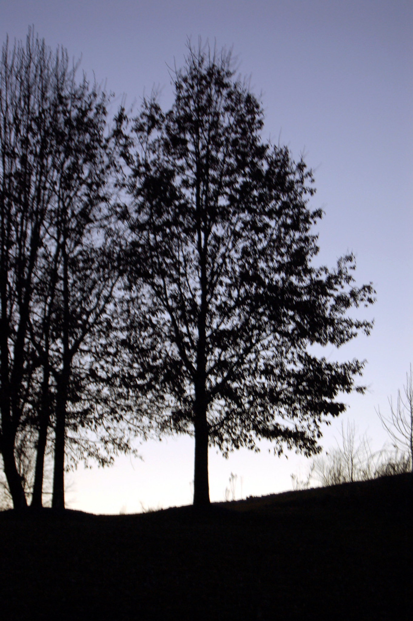 Nikon D50 sample photo. Edited photography