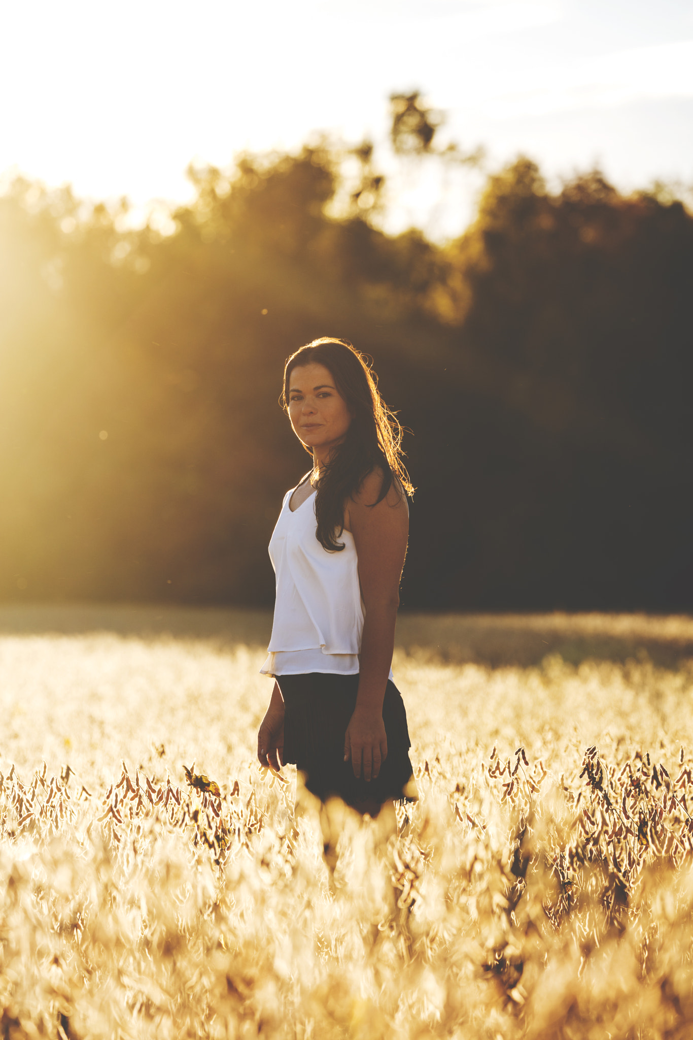 Canon EF 70-300mm F4-5.6L IS USM sample photo. Fields of gold photography