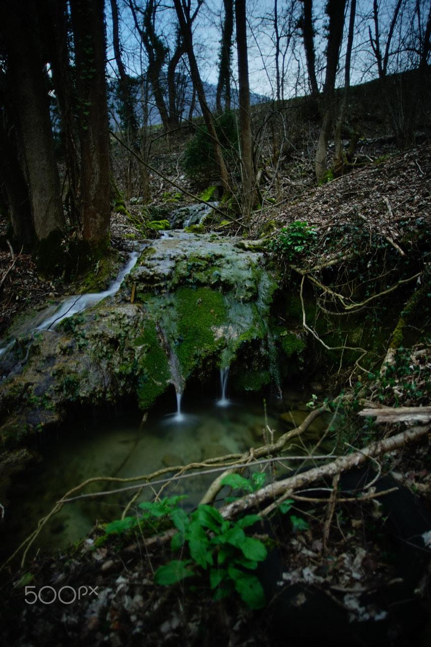 Sony a7 + Sigma 20mm F1.8 EX DG Aspherical RF sample photo. Satudray's balad - with my alpha 7 photography