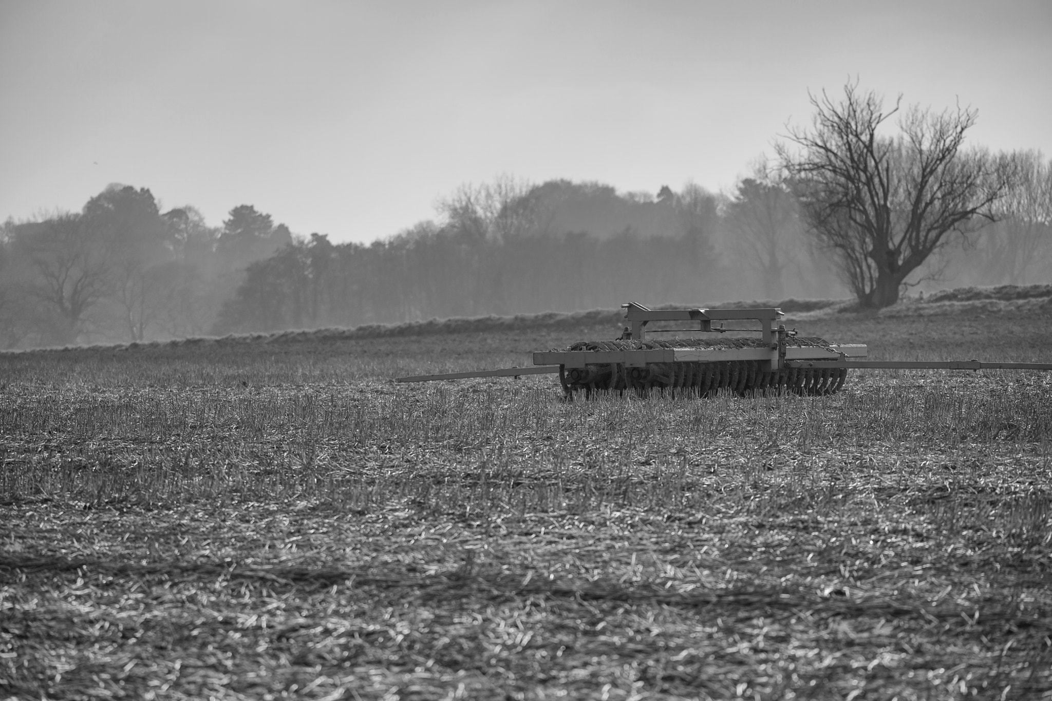 Sigma 150-600mm F5-6.3 DG OS HSM | C sample photo. Spring farming photography