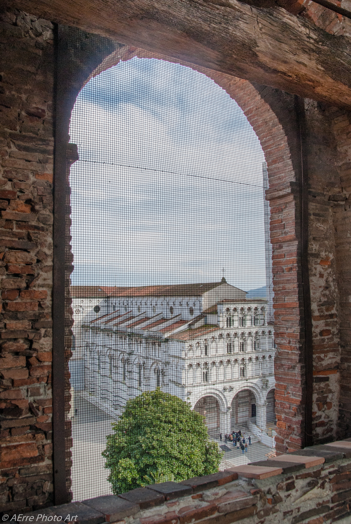 Sigma 17-70mm F2.8-4.5 DC Macro Asp. IF sample photo. Discovery lucca photography