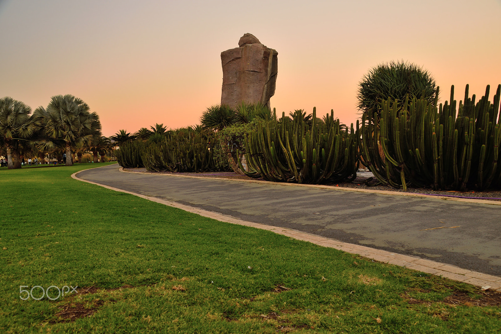 Sigma 18-200mm F3.5-6.3 DC OS HSM sample photo. Maspalomas parque urbano del sur photography