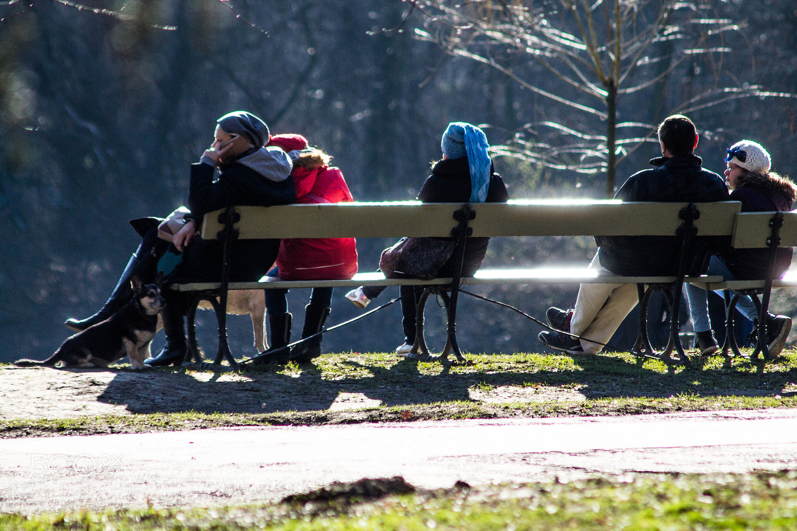 Canon EF 75-300mm F4.0-5.6 IS USM sample photo. First sunbath after winter photography