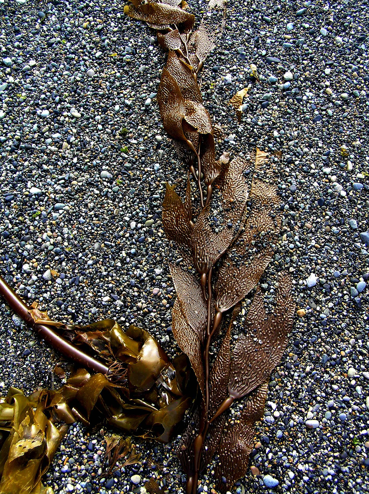 Olympus C765UZ sample photo. Olympus digital camera photography