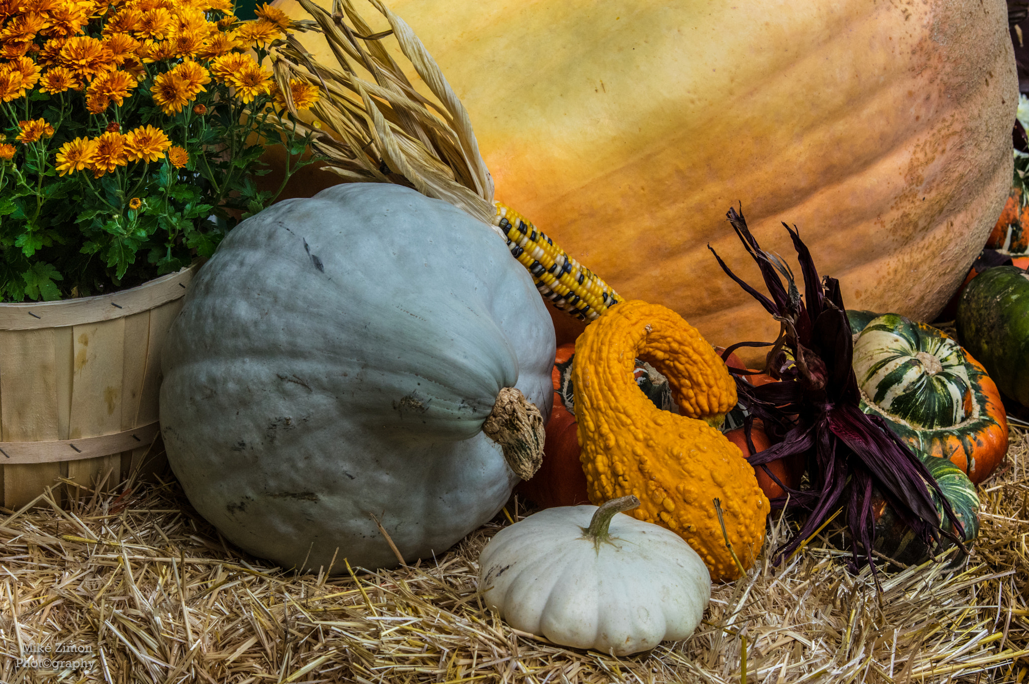 Pentax K-3 + Sigma 70-200mm F2.8 EX DG OS HSM sample photo. A taste of autumn photography