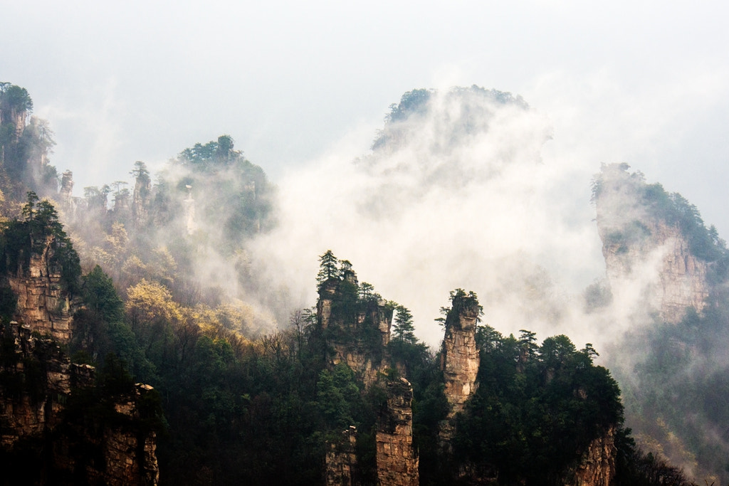 Olympus PEN E-PL5 + OLYMPUS M.12-50mm F3.5-6.3 sample photo. Smoky zhangjiajie  mt photography