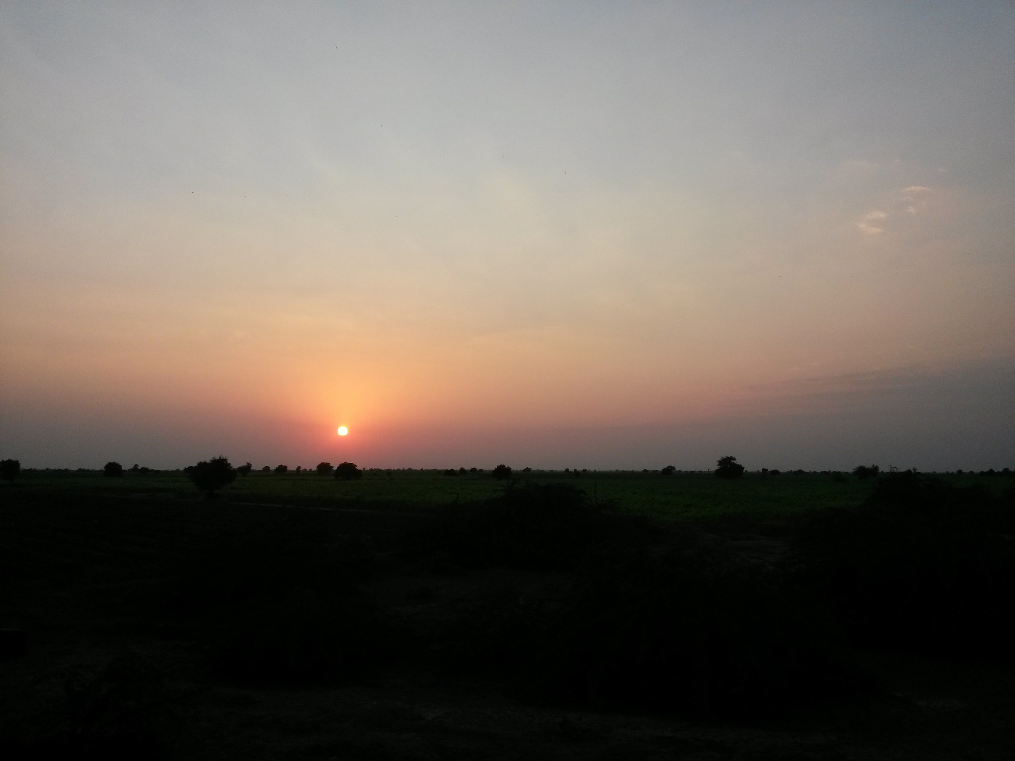 Samsung Galaxy Mega 6.3 sample photo. Amazing nature photography