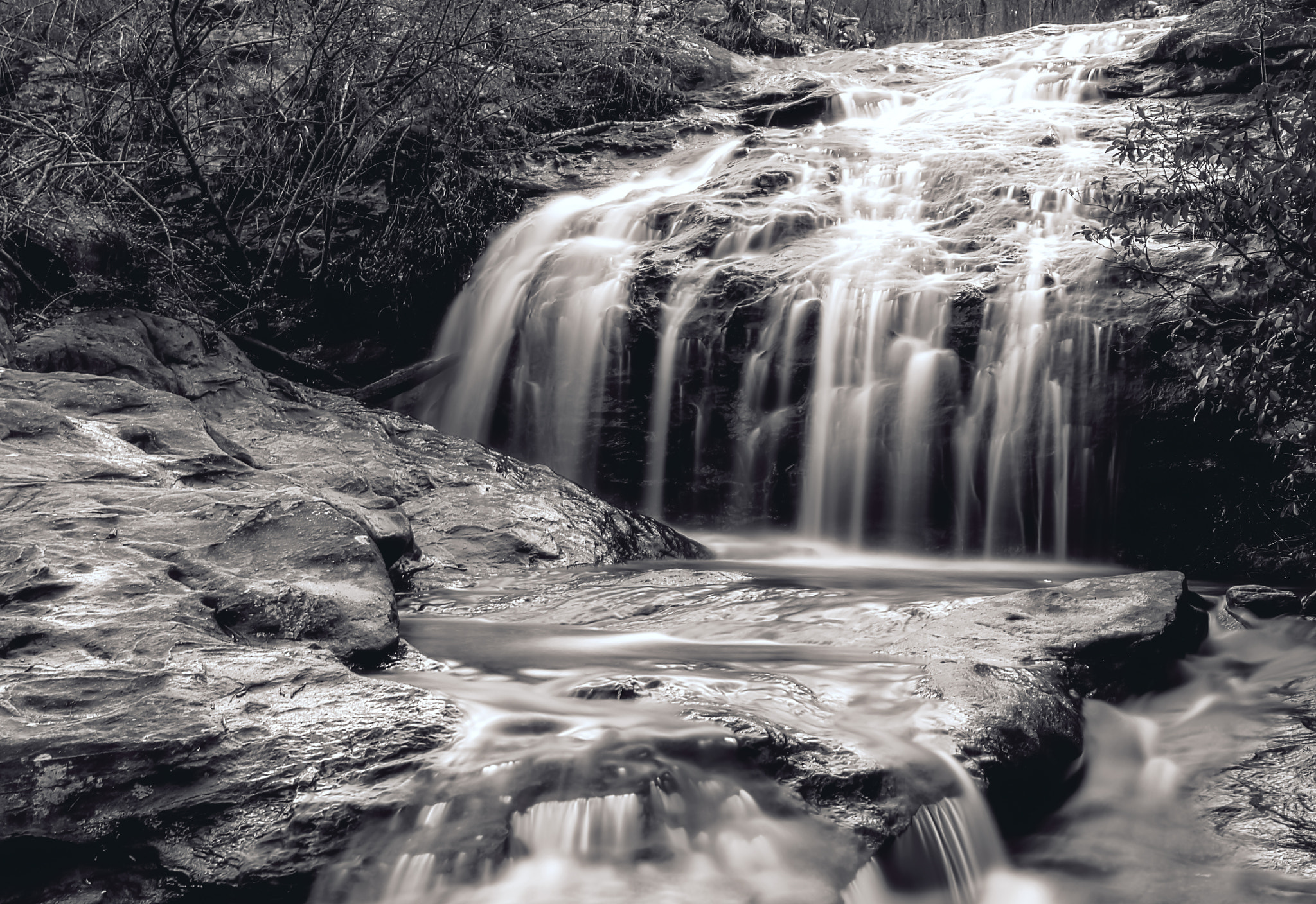 Nikon Df sample photo. Moss rock preserve after rain photography