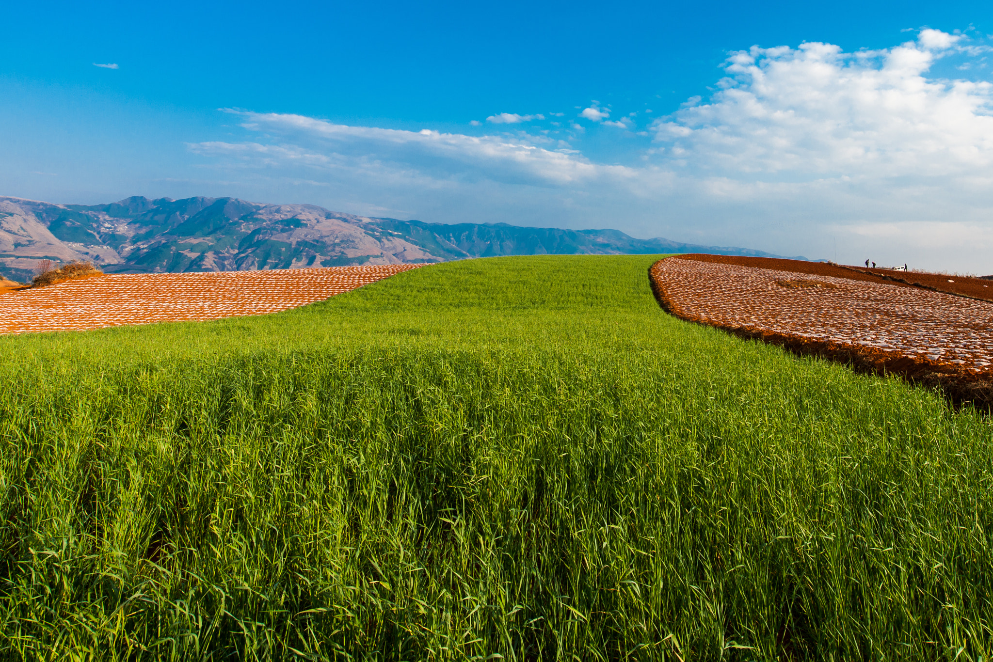 Nikon D3X sample photo. Yunnan dongchuan hongtudi  china photography