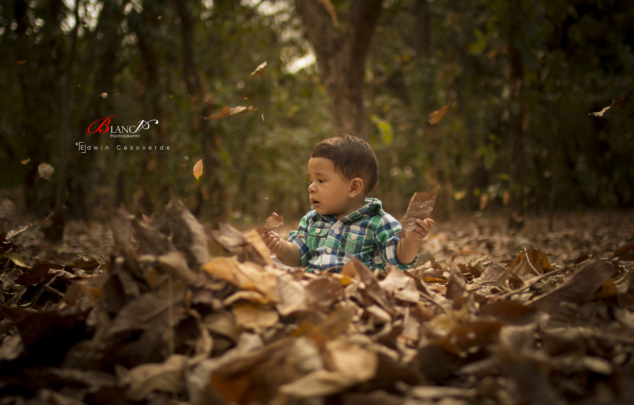 Sigma 30mm F1.4 EX DC HSM sample photo. Between autumn photography