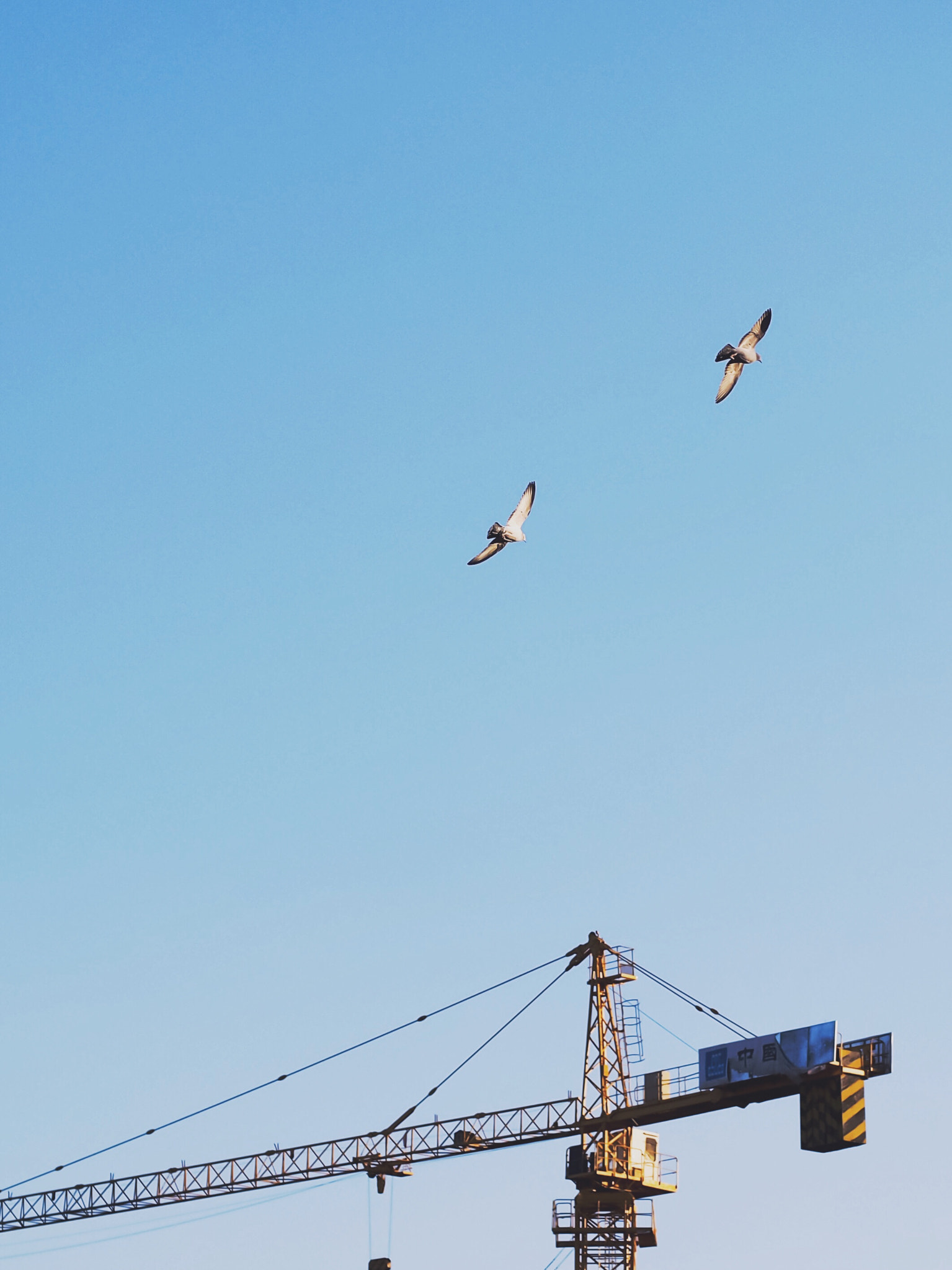 Panasonic Leica DG Nocticron 42.5mm F1.2 ASPH OIS sample photo. Flying over the city photography