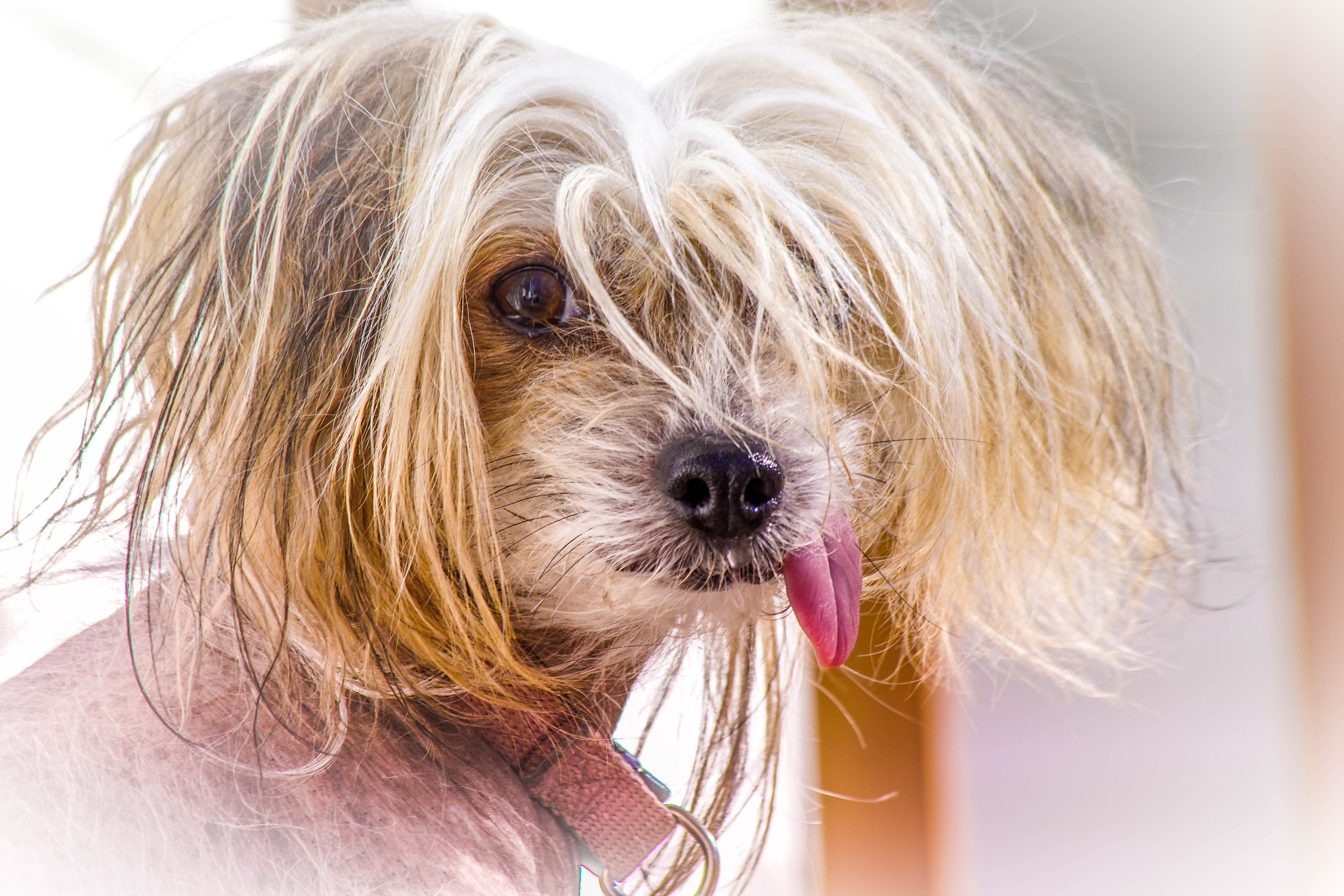 70-300mm F4-5.6 SSM OSS sample photo. Tinker photography