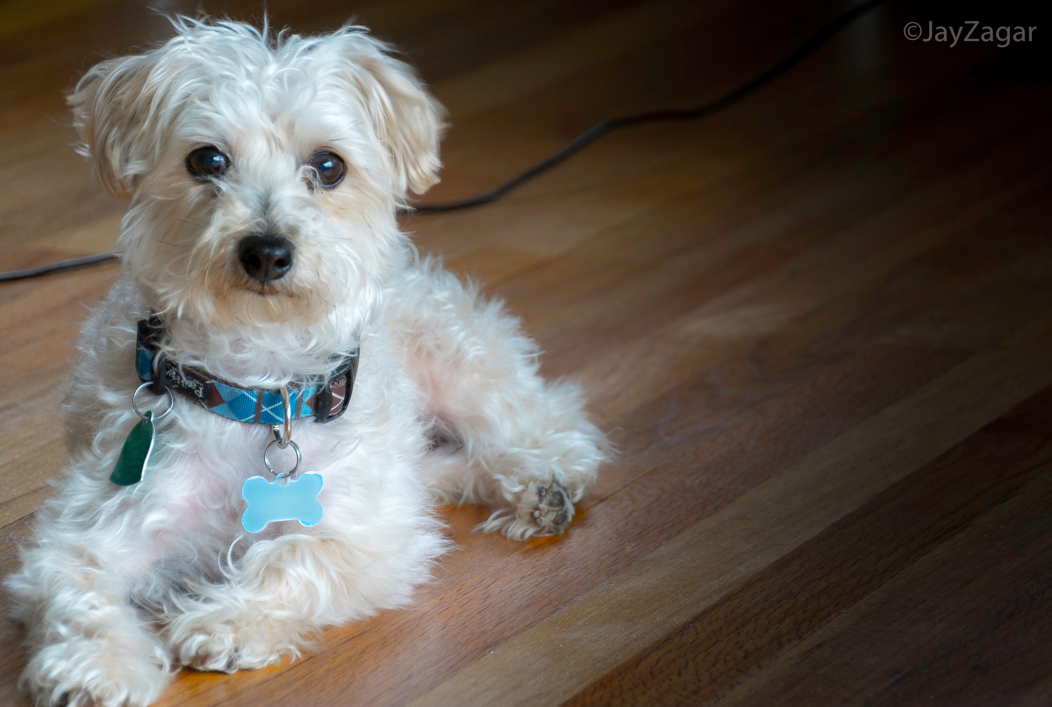 Tamron 18-270mm F3.5-6.3 Di II PZD sample photo. Frey photography