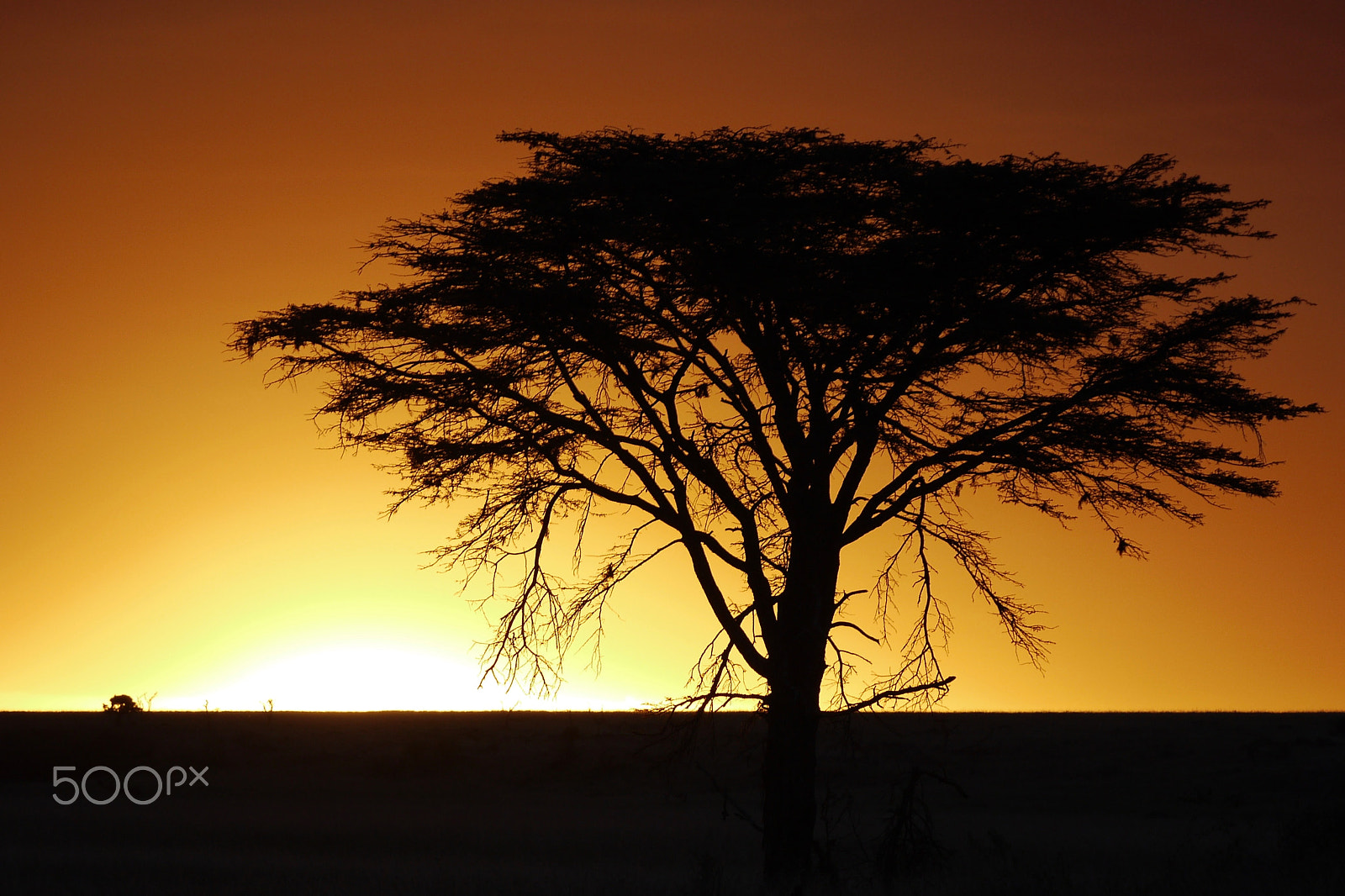 Panasonic Lumix DMC-G2 sample photo. Dream of africa.jpg photography