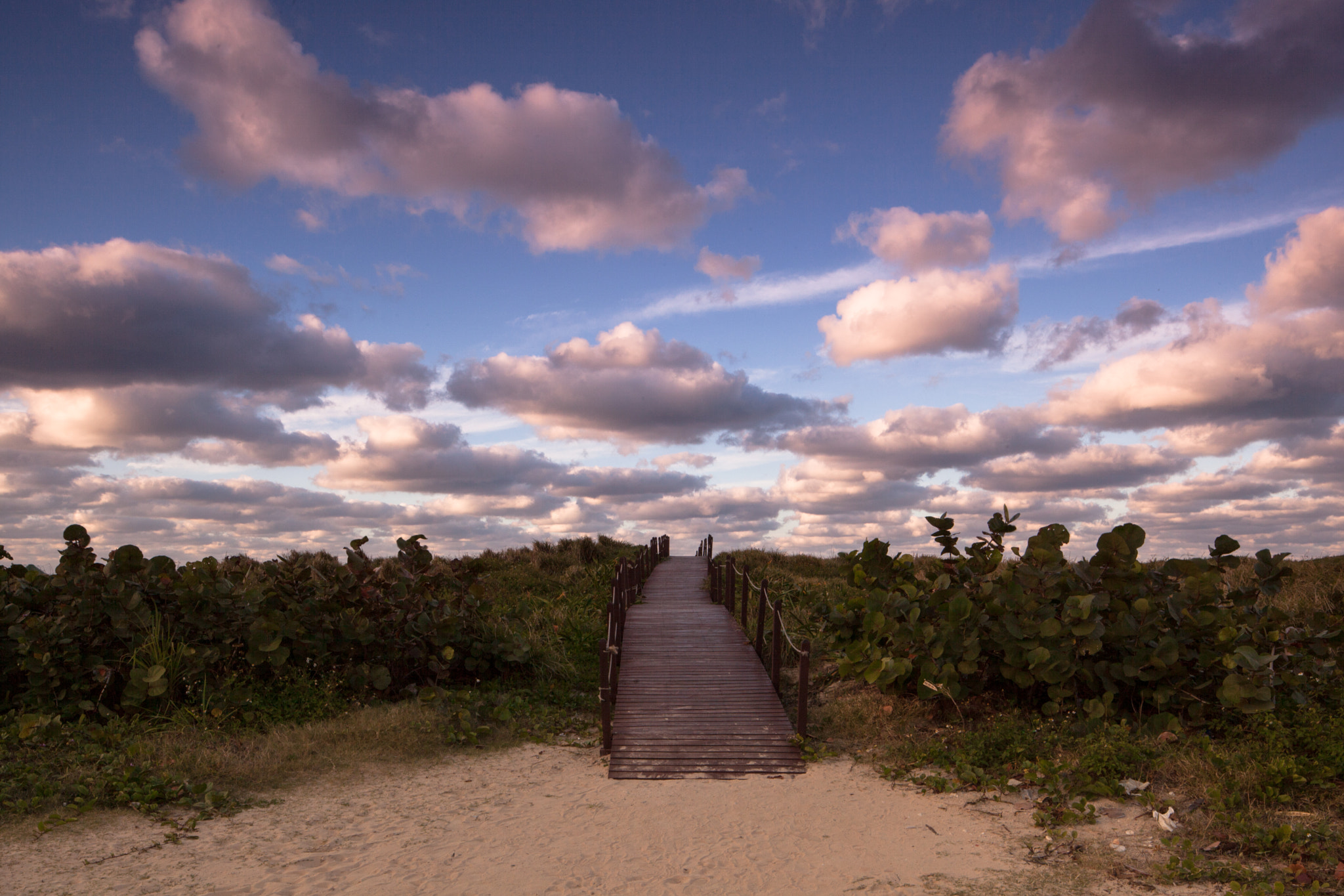 Canon TS-E 24.0mm f/3.5 L II sample photo. Walkway to the clouds photography