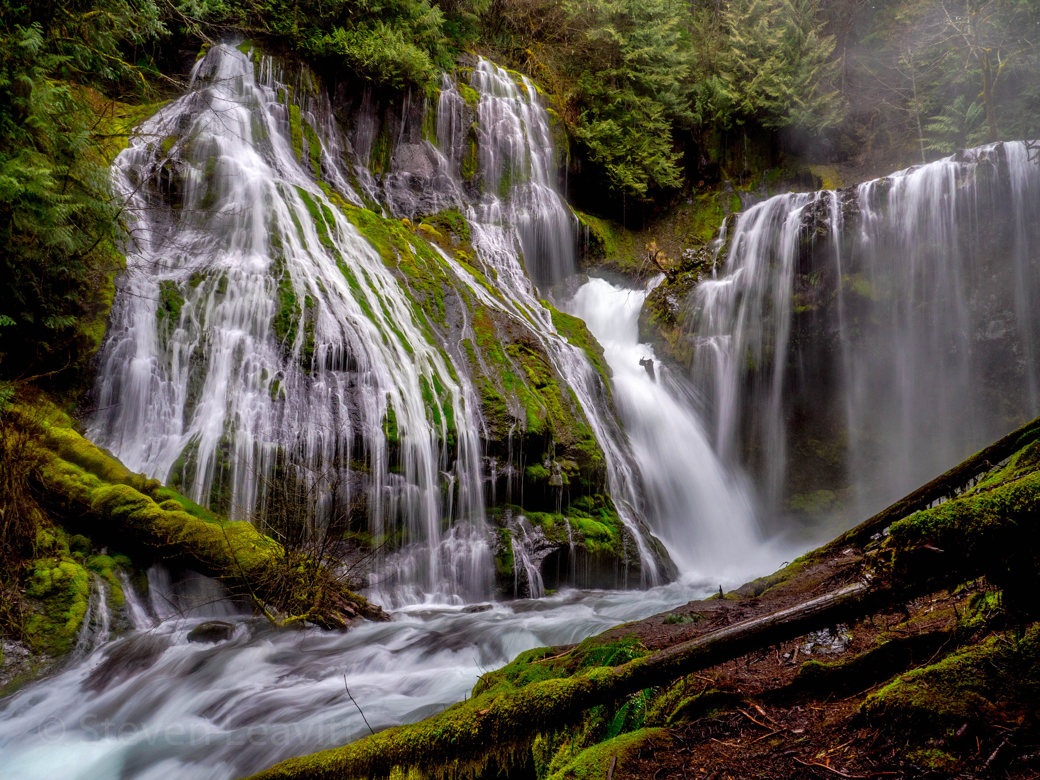 Panasonic Lumix DMC-GX8 sample photo. A wet and rainy day at panther creek falls in washington  photography