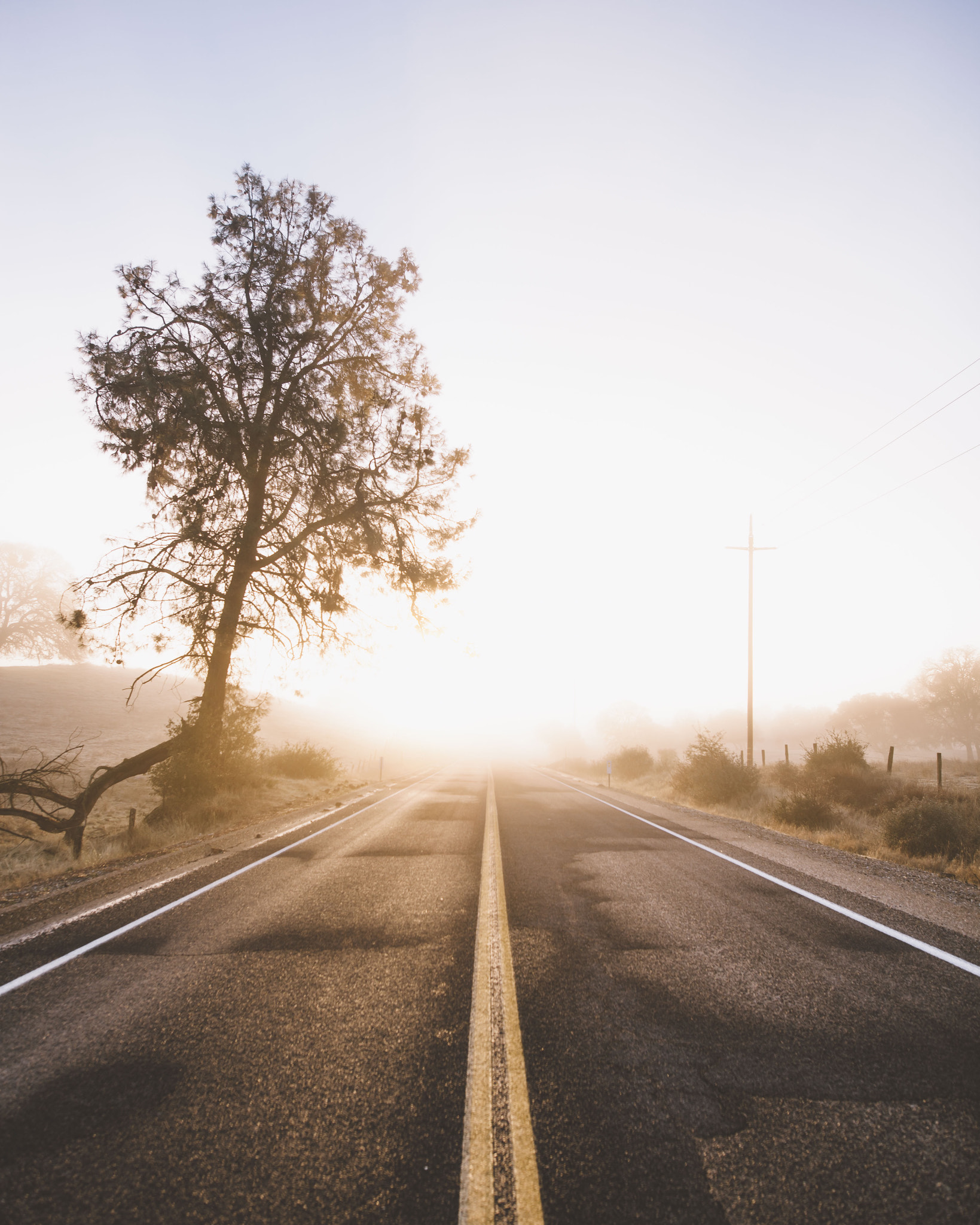 Sigma 20mm F1.4 DG HSM Art sample photo. Sunrises from the road. photography
