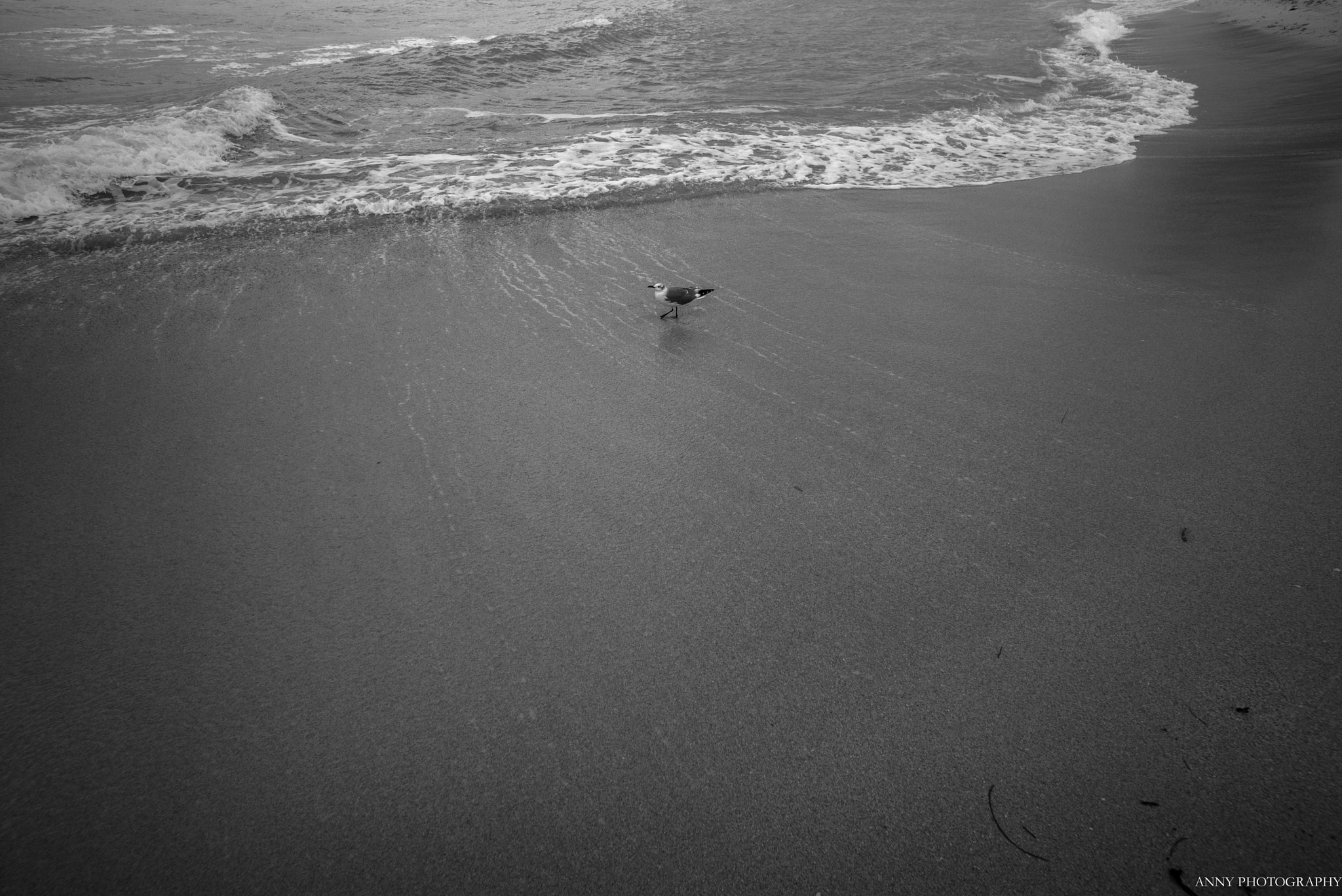 Leica Super-Elmar-M 18mm F3.8 ASPH sample photo. Adobe photography