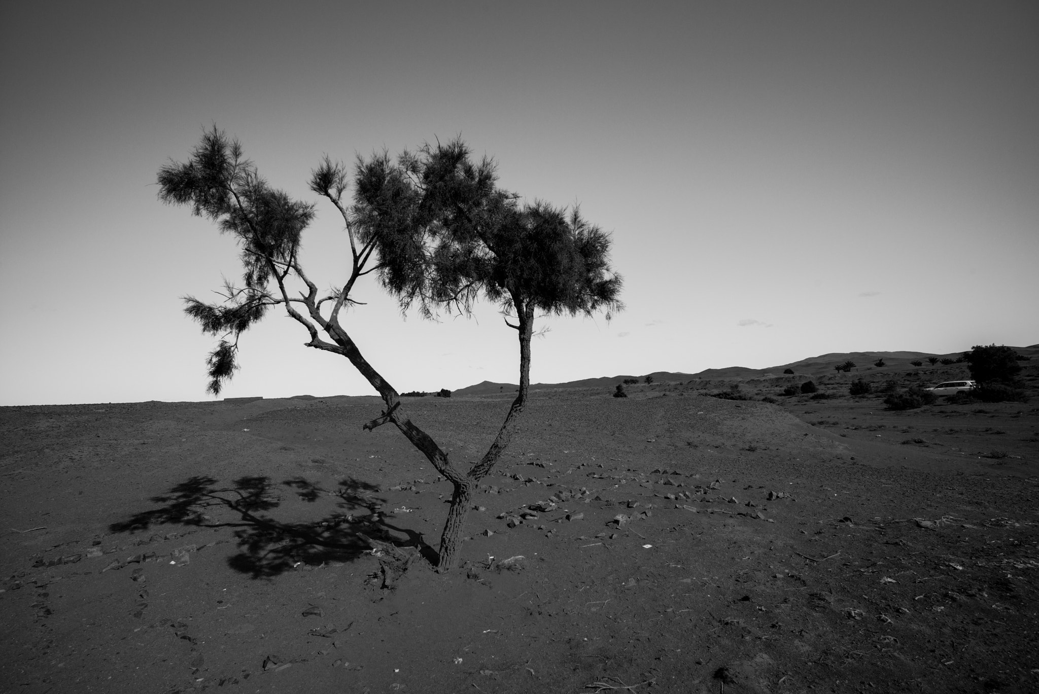 Leica Super-Elmar-M 18mm F3.8 ASPH sample photo. Adobe photography