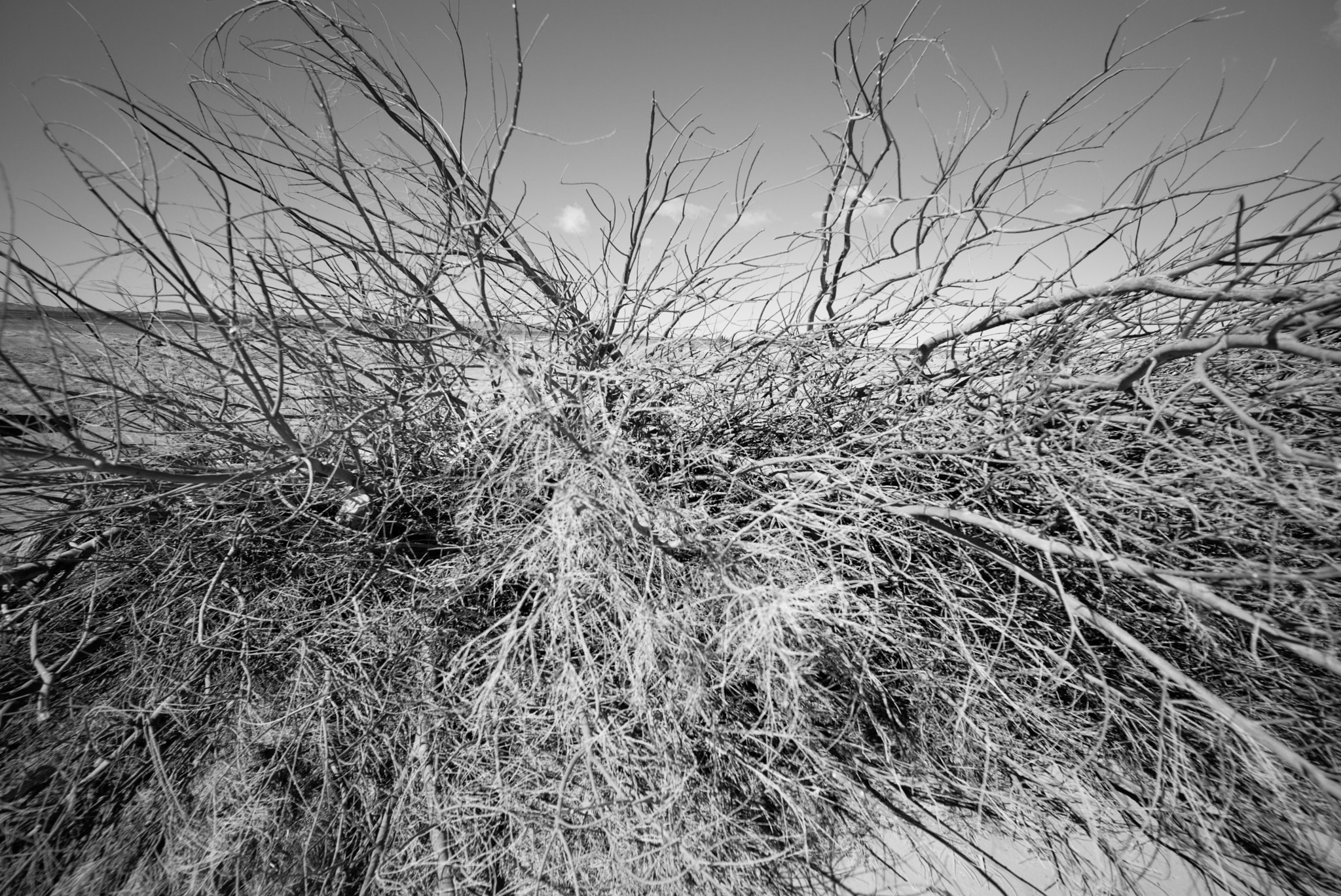 Leica Super-Elmar-M 18mm F3.8 ASPH sample photo. Adobe photography
