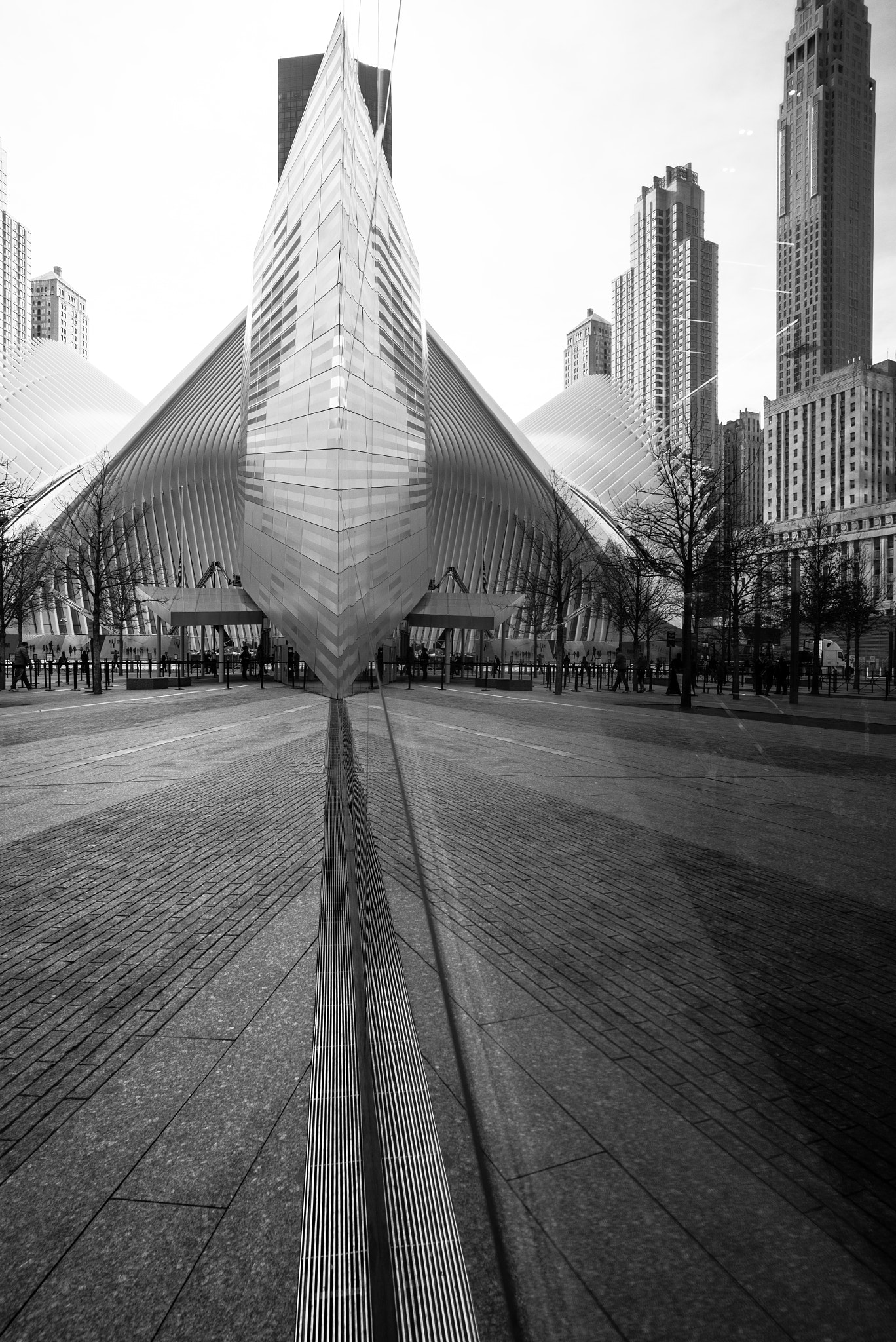Leica Super-Elmar-M 18mm F3.8 ASPH sample photo. Adobe photography