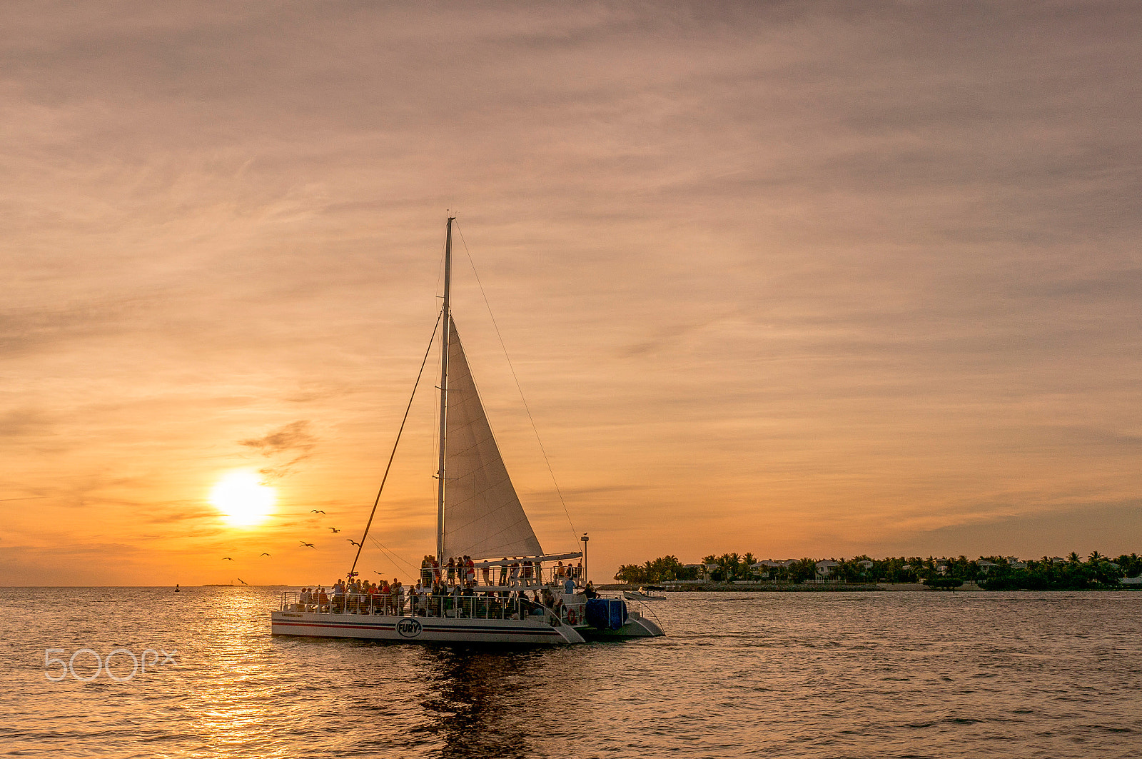 Sony Sonnar T* E 24mm F1.8 ZA sample photo. Sailing for paradise photography