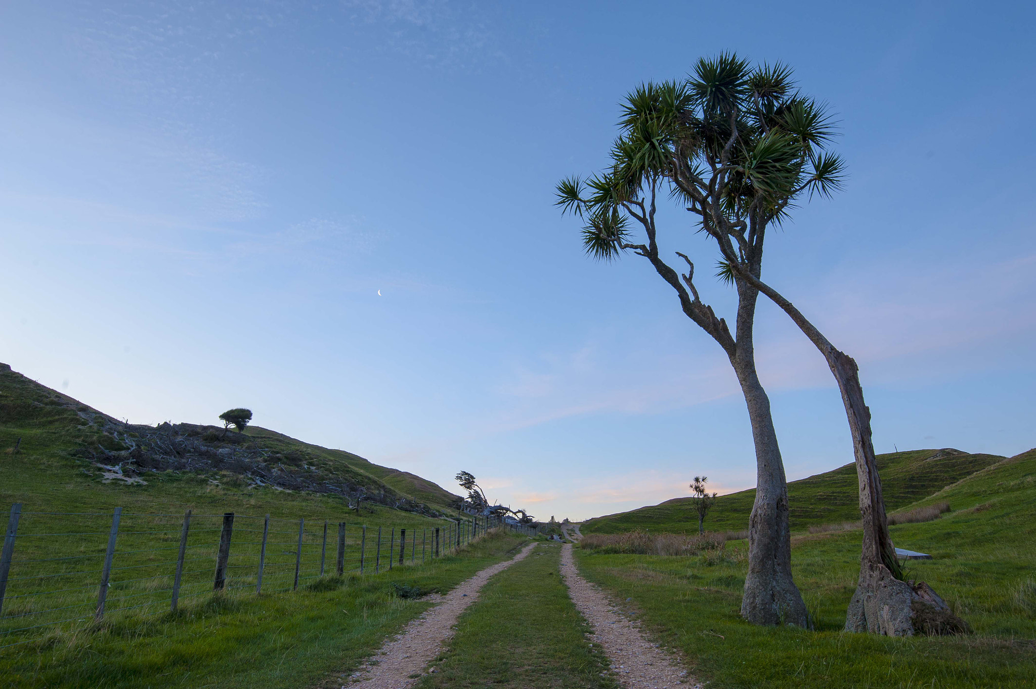 Tamron SP 15-30mm F2.8 Di VC USD sample photo. Cape farewell landscape photography
