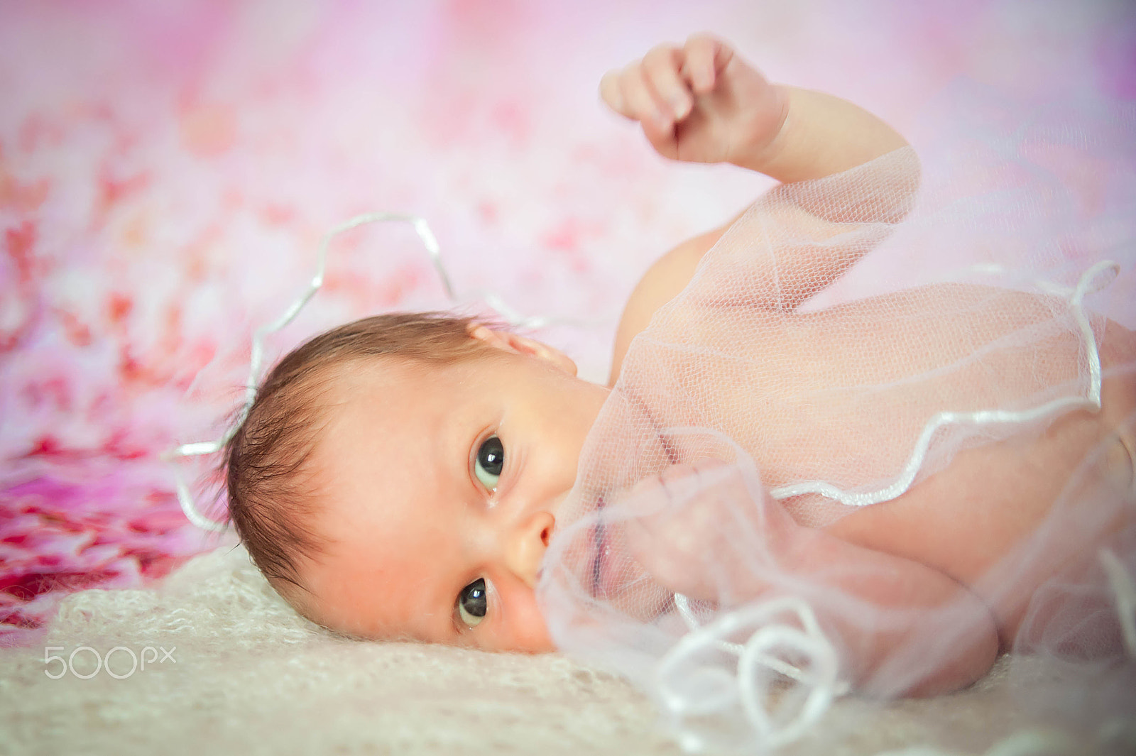 Sigma 28-70mm F2.8 EX DG sample photo. Newborn baby photography