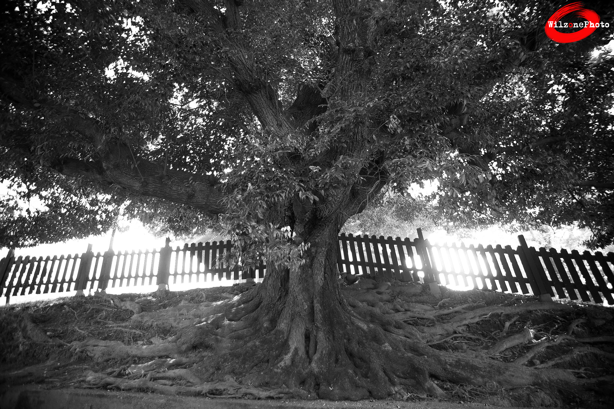 Tamron AF 19-35mm f/3.5-4.5 sample photo. Nara 32 photography