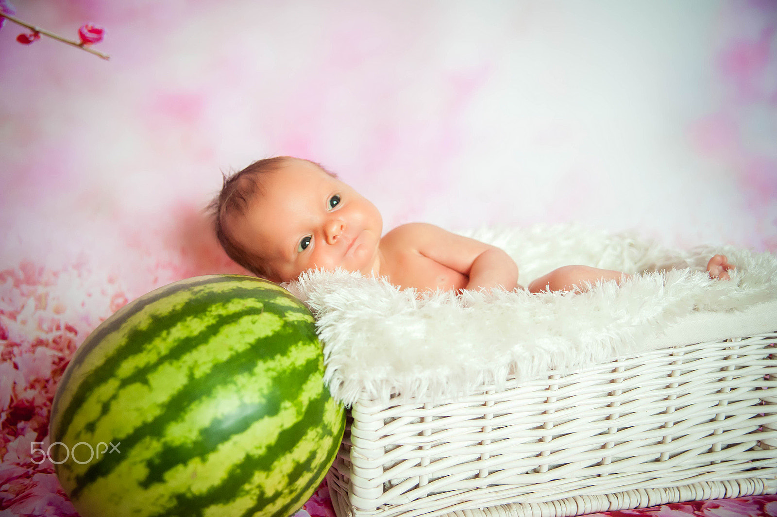 Nikon D700 + Sigma 28-70mm F2.8 EX DG sample photo. Newborn baby photography