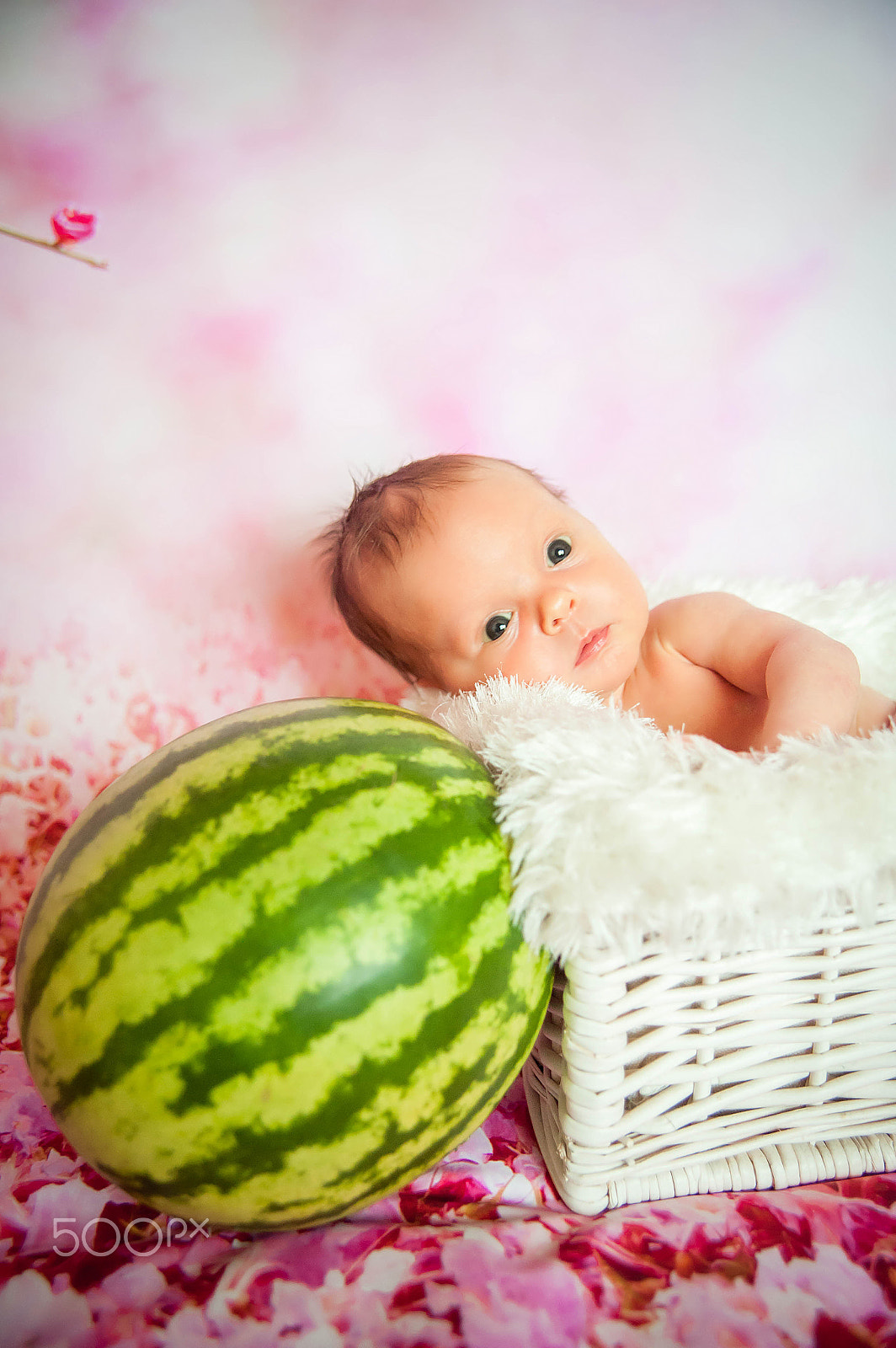 Nikon D700 + Sigma 28-70mm F2.8 EX DG sample photo. Newborn baby photography