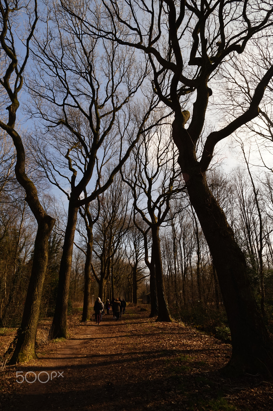 Sony Alpha a5000 (ILCE 5000) + ZEISS Touit 12mm F2.8 sample photo. A walk in the sun photography