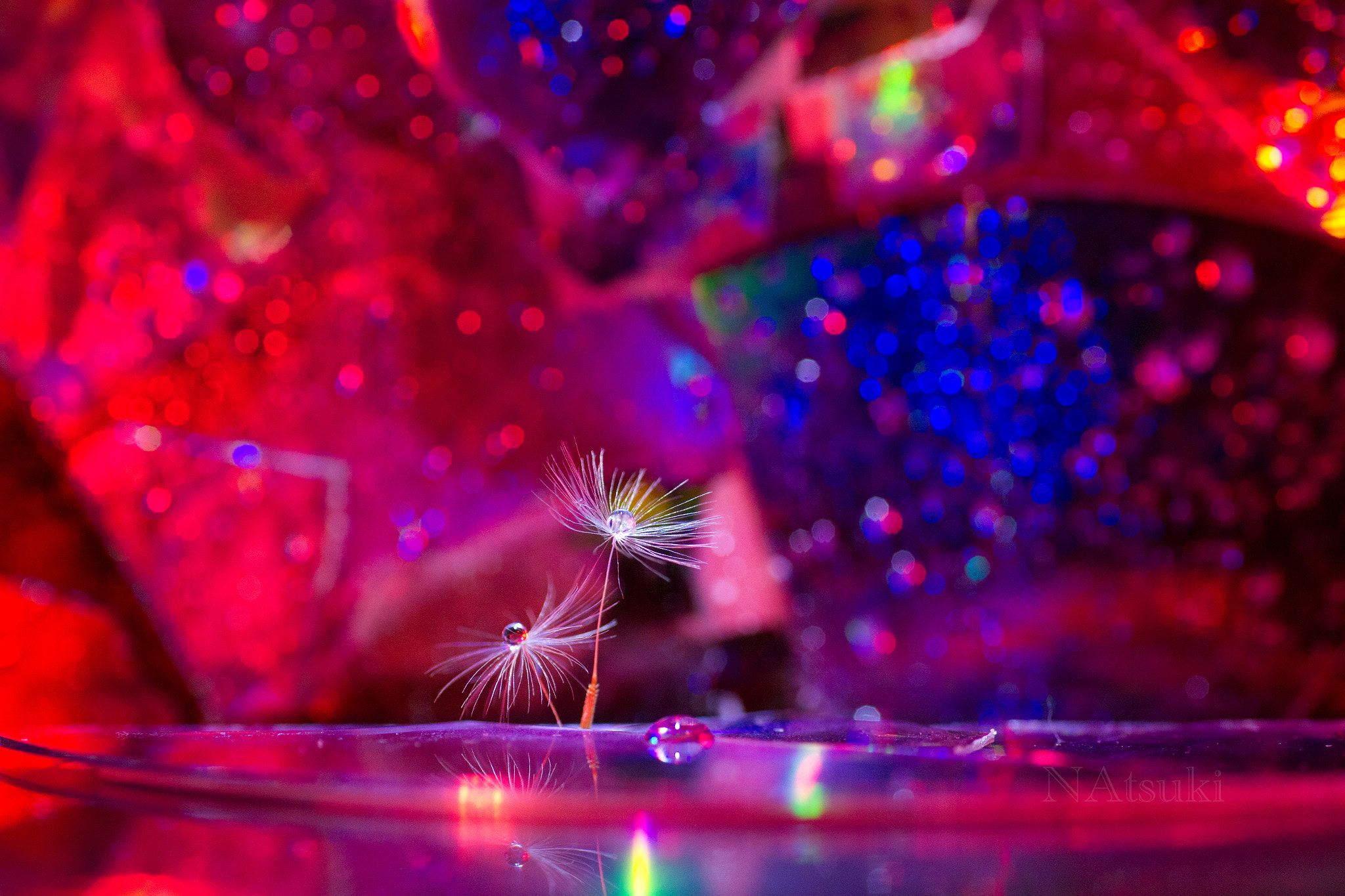 Sigma 50mm f/1.4 EX DG HSM + 1.4x sample photo. Beautiful world photography