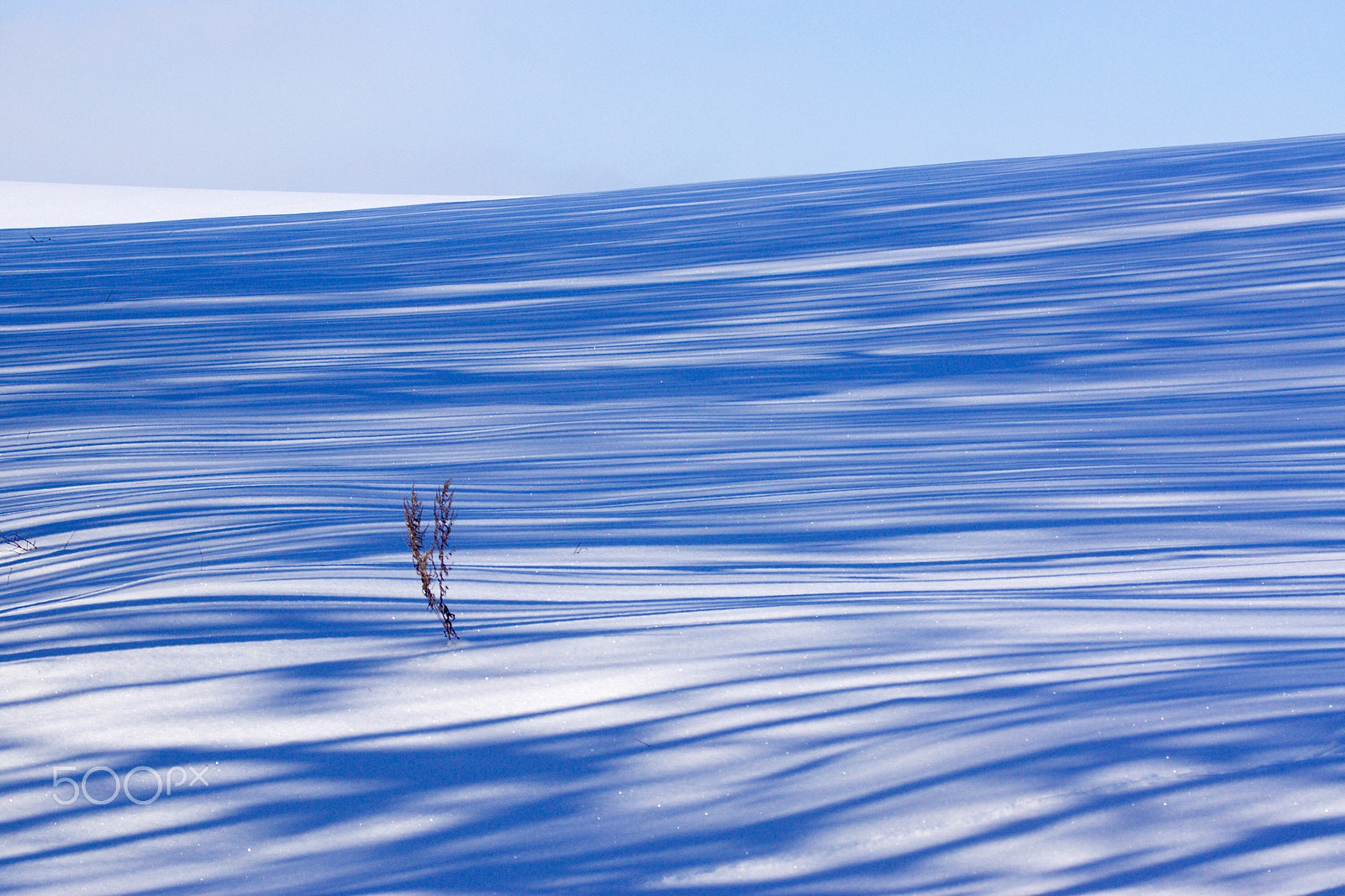 Sony 70-300mm F4.5-5.6 G SSM sample photo. Stripe photography