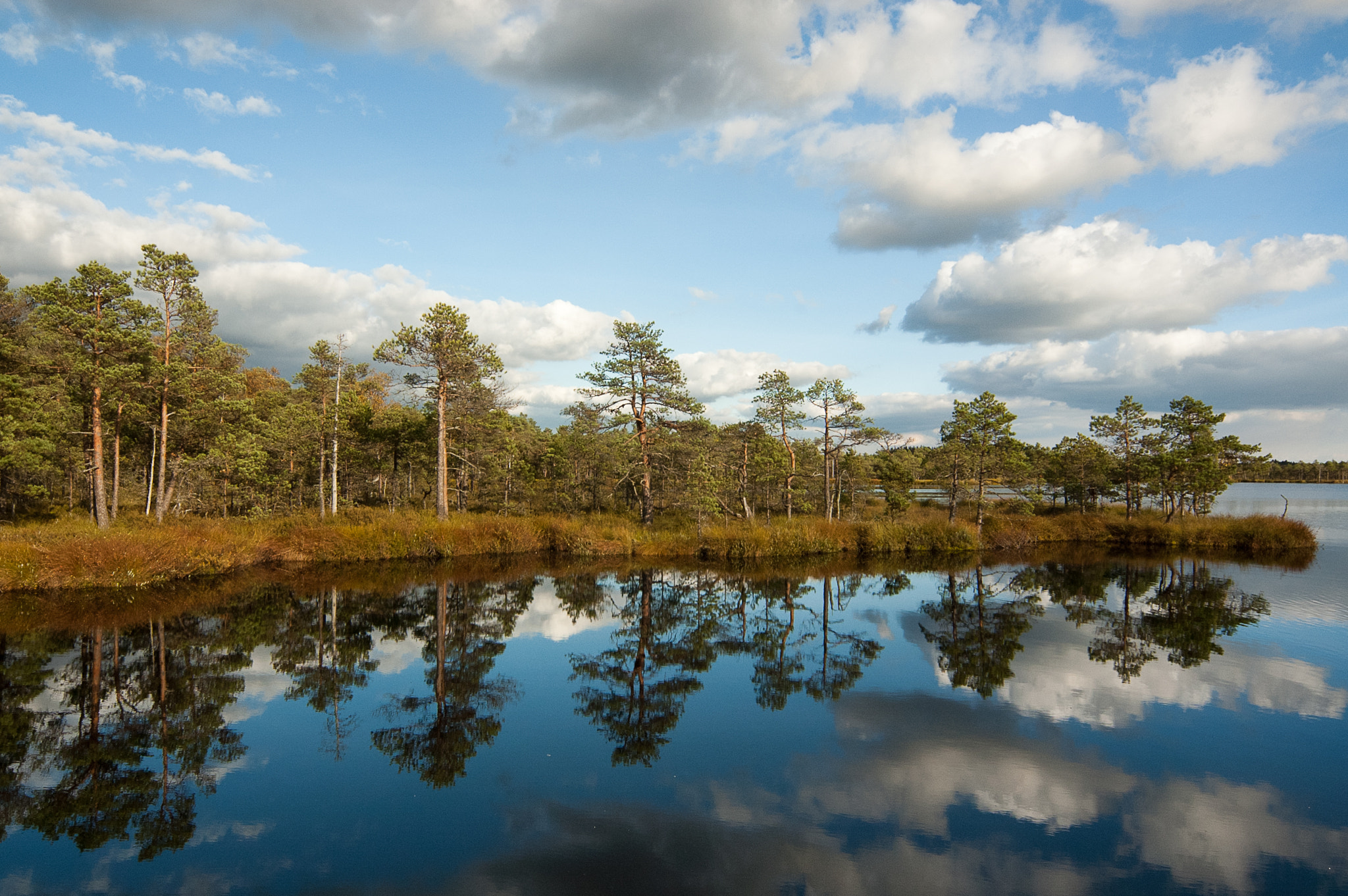 Sigma 12-24mm F4.5-5.6 EX DG Aspherical HSM sample photo. Mirror photography